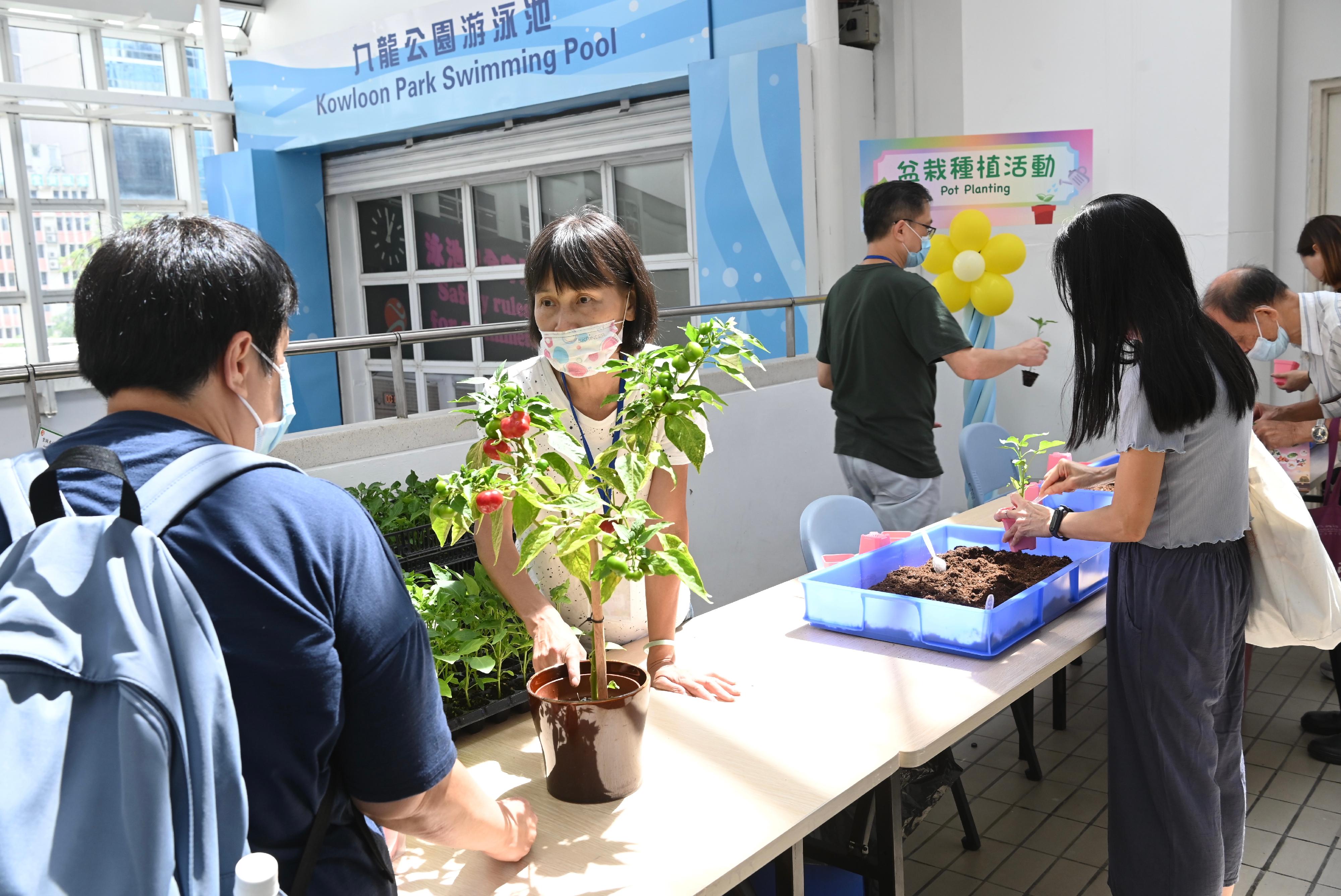 康乐及文化事务署今明两日（七月二十二日及二十三日）上午十时至下午五时，在九龙公园拱廊和绿化教育资源中心举办「认识食用植物」园艺教育展览及相关活动，欢迎市民参加，费用全免。图示市民参与盆栽种植活动。

