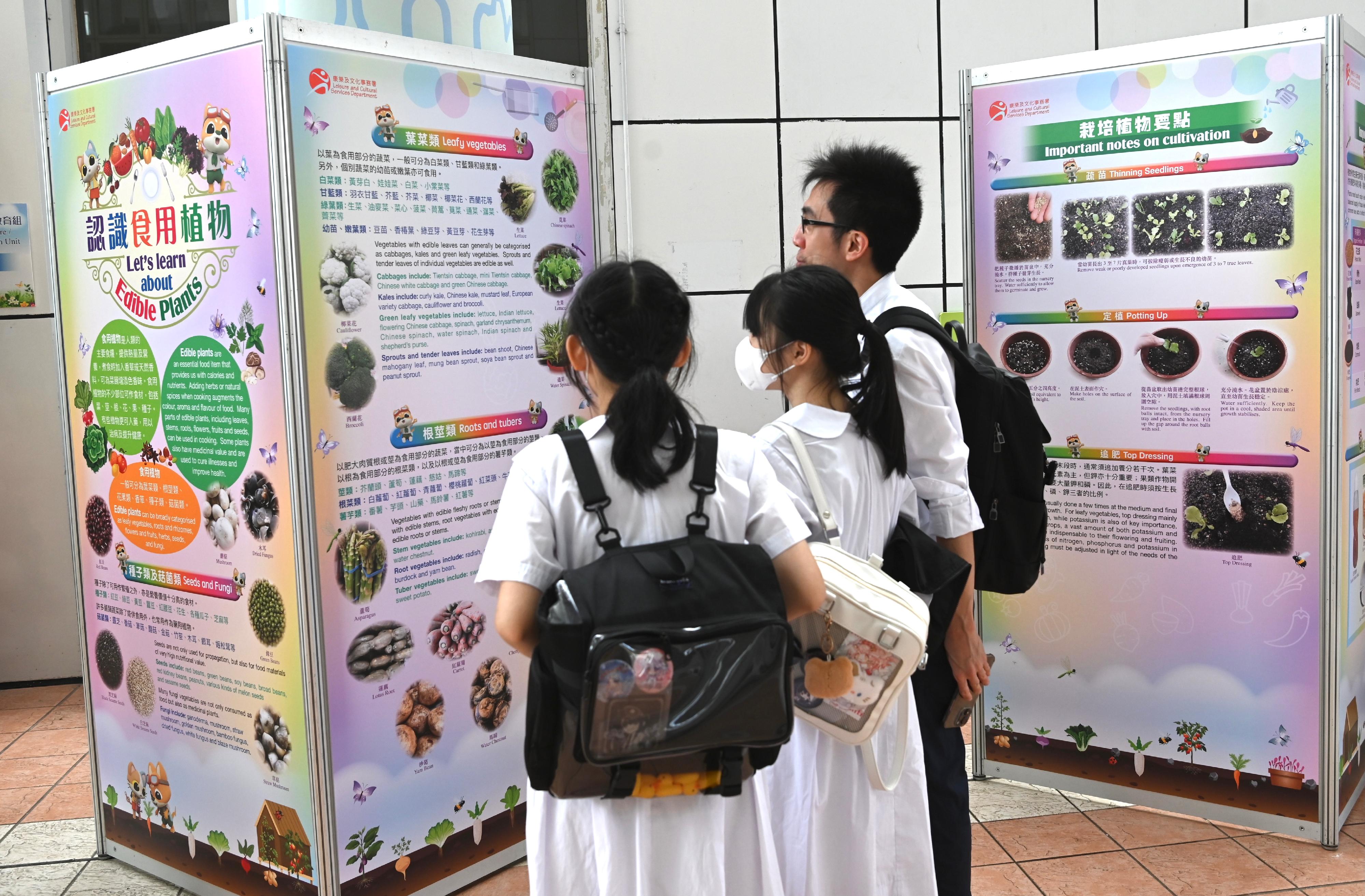 A horticultural education exhibition entitled "Let's learn about edible plants" and related activities are being held by the Leisure and Cultural Services Department today and tomorrow (July 22 and 23) from 10am to 5pm at the Arcade and the Green Education and Resource Centre of Kowloon Park. Members of the public can learn more about edible plants through descriptive display panels. Admission is free.
