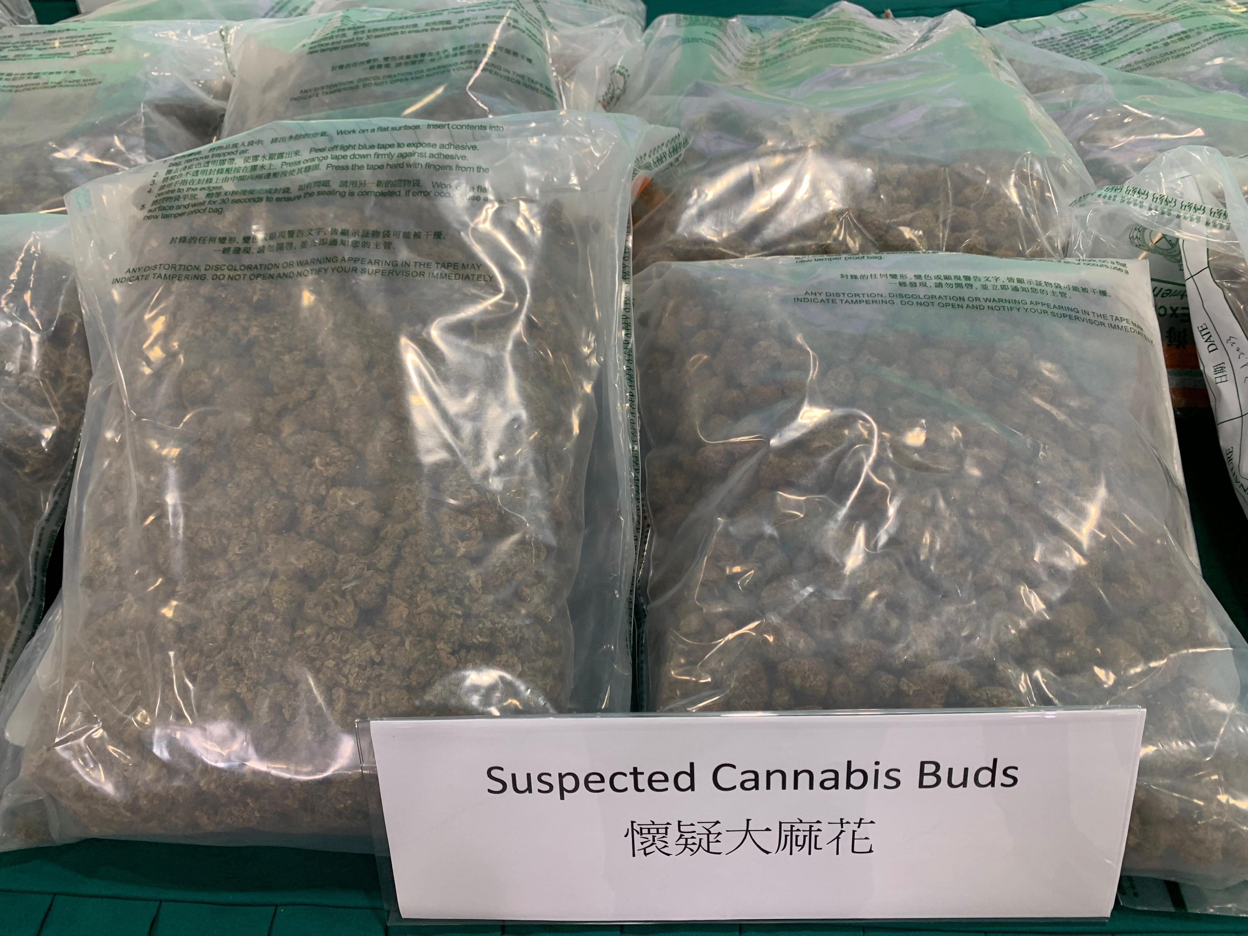 香港海關於六月十二日至八月十一日採取代號「狙擊者」的反毒品行動，打擊利用集運方式販運毒品。圖示行動中檢獲的部分懷疑大麻花。
