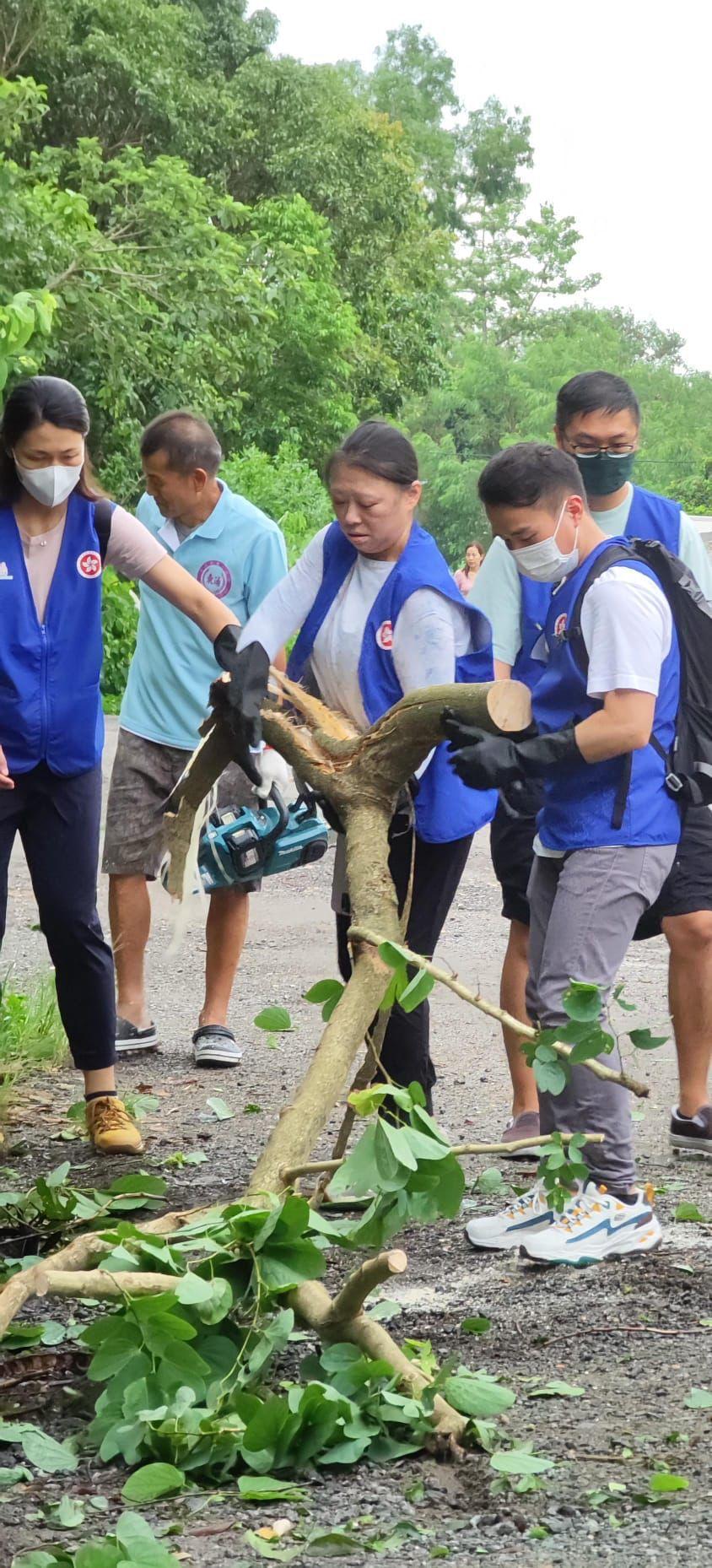 As Saola is moving away from Hong Kong, the Government has activated the "Government-wide mobilisation" level, mobilising about a hundred of staff members from different government departments promptly to form a quick response unit to provide assistance in several districts. Photo shows the District Officer, Miss Amy Yeung (second right), together with other government staff, carrying out clearance work to remove garbage and fallen branches and leaves on roads in Tung Chung Heung.