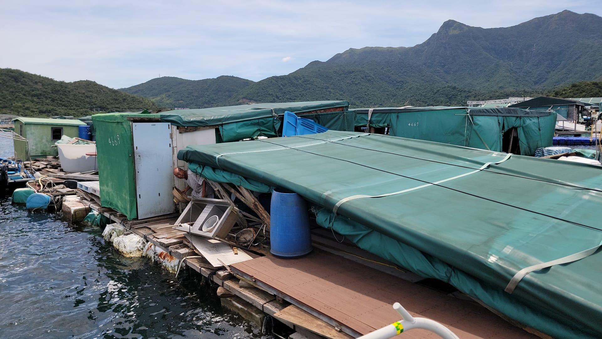 Local farmers and fish farmers who suffered serious losses caused by Typhoon Saola can register with the Agriculture, Fisheries and Conservation Department from tomorrow (September 5) to September 13 for assistance from an emergency relief fund. Photo shows a fish raft damaged by the typhoon.