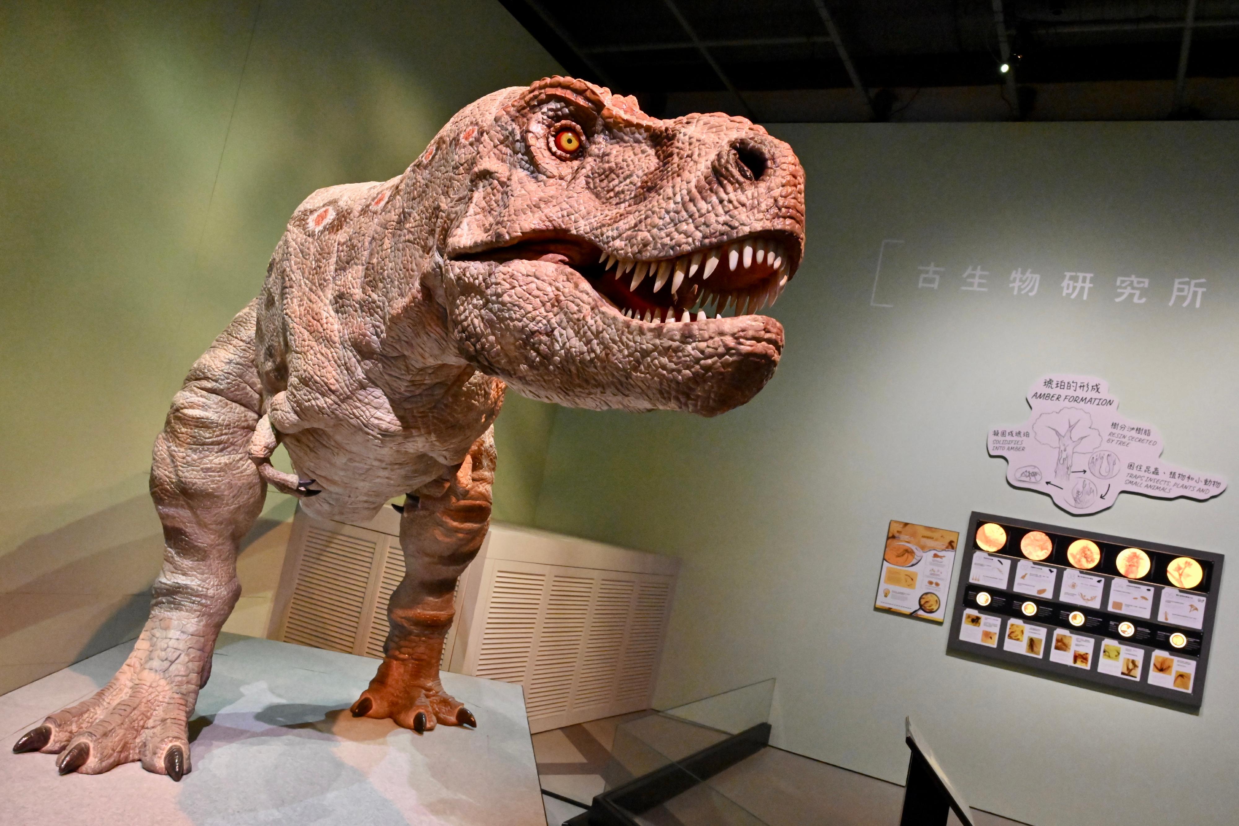 The Hong Kong Science Museum's new exhibition "Extinction·Resilience" will be open to the public from tomorrow (September 15). Photo shows an animatronic T.rex in the Palaeo-Lab at the gallery. 