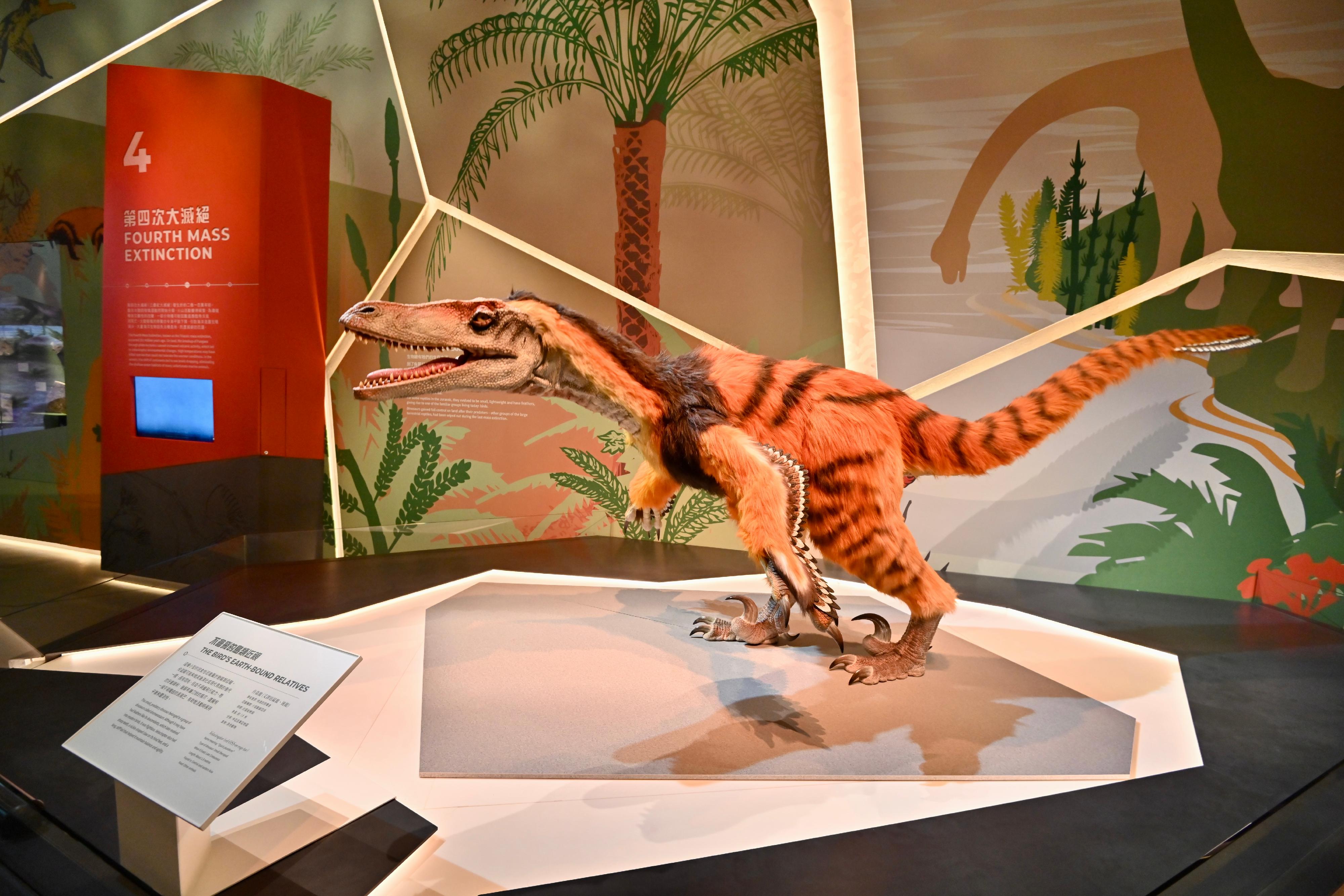The Hong Kong Science Museum's new exhibition "Extinction·Resilience" will be open to the public from tomorrow (September 15). Photo shows an animatronic Velociraptor at the gallery.