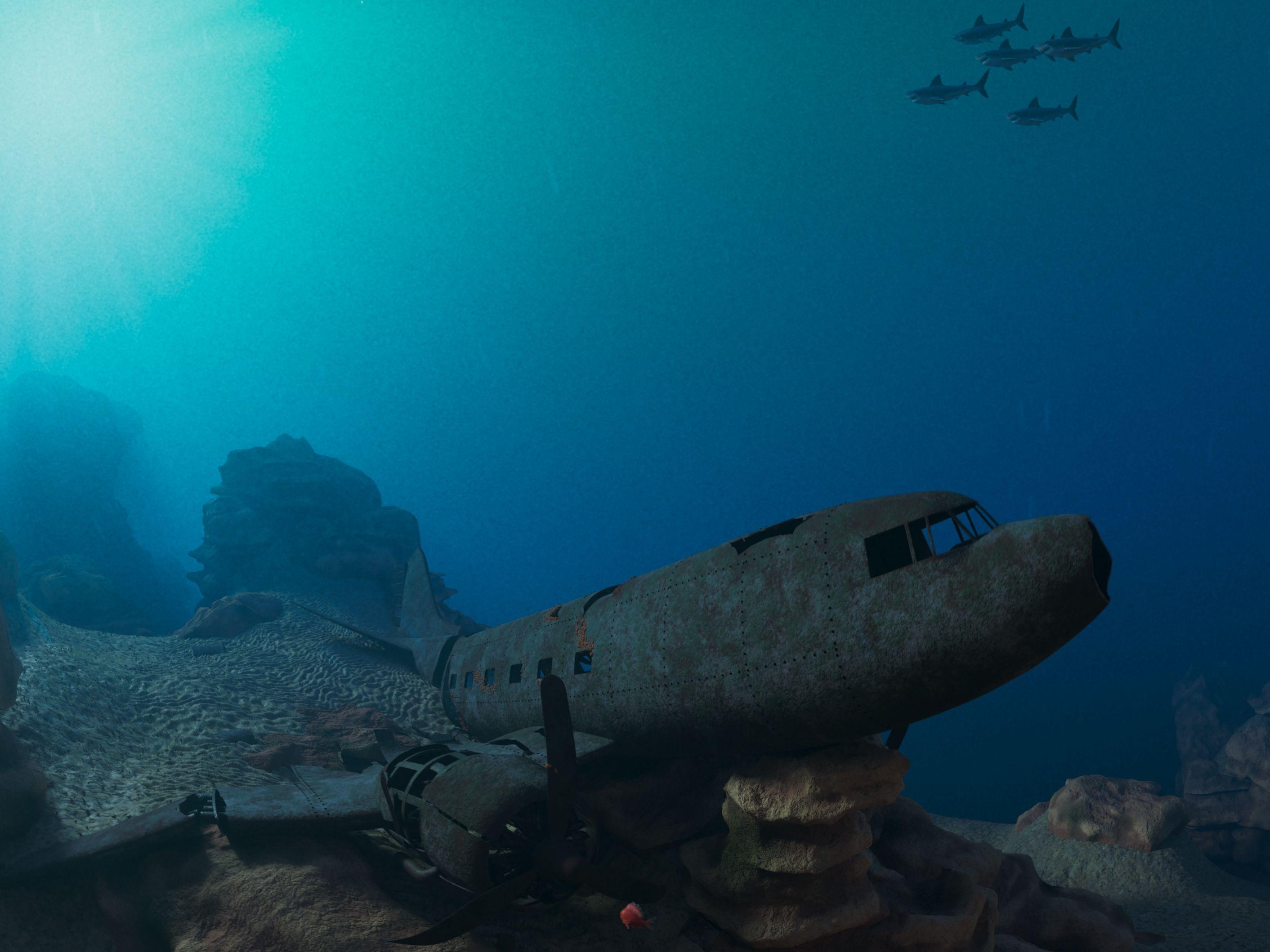 香港太空館天象廳十月一日（星期日）起放映全新立體球幕電影《珊瑚礁冒險隊3D》，帶領觀眾探索海底世界。圖示一架沉入海底成為海洋生物避難所的飛機殘骸。（圖片來源：SOFTMACHINE）