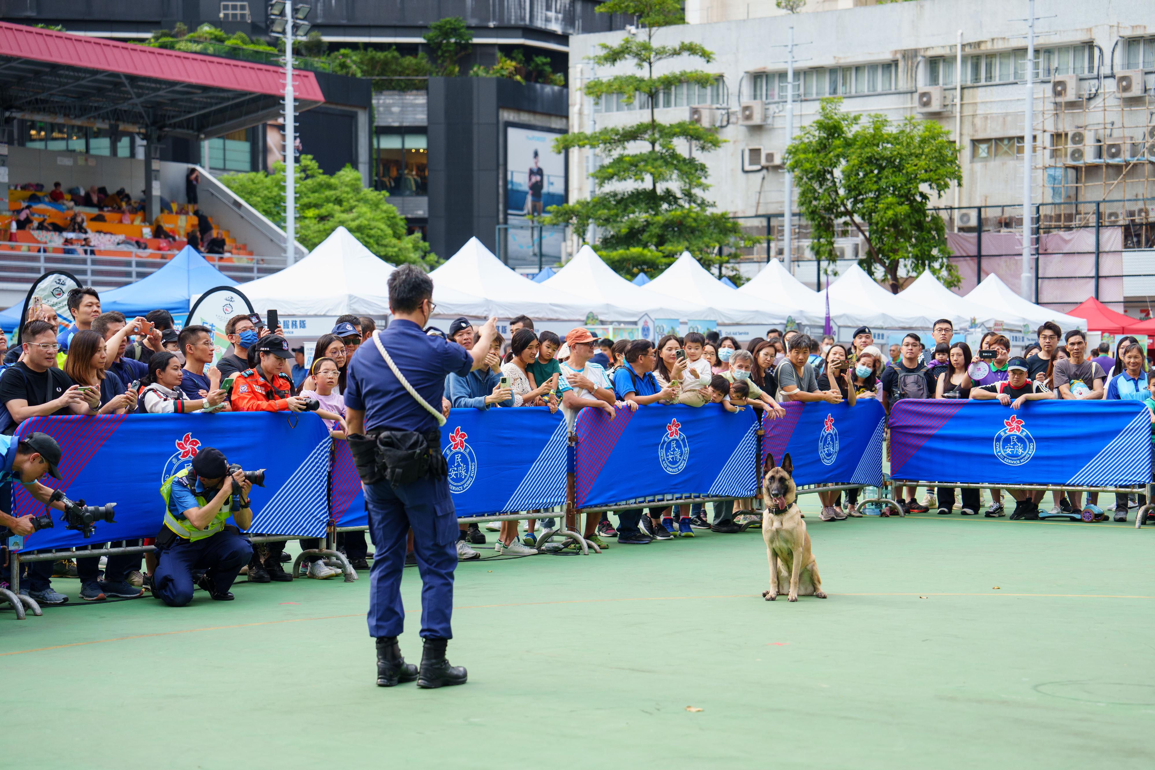 民众安全服务队联同多个政府部门和山岭活动团体今日（十月二十二日）在旺角麦花臣游乐场举办「山岭活动安全推广日」。图示警犬表演。