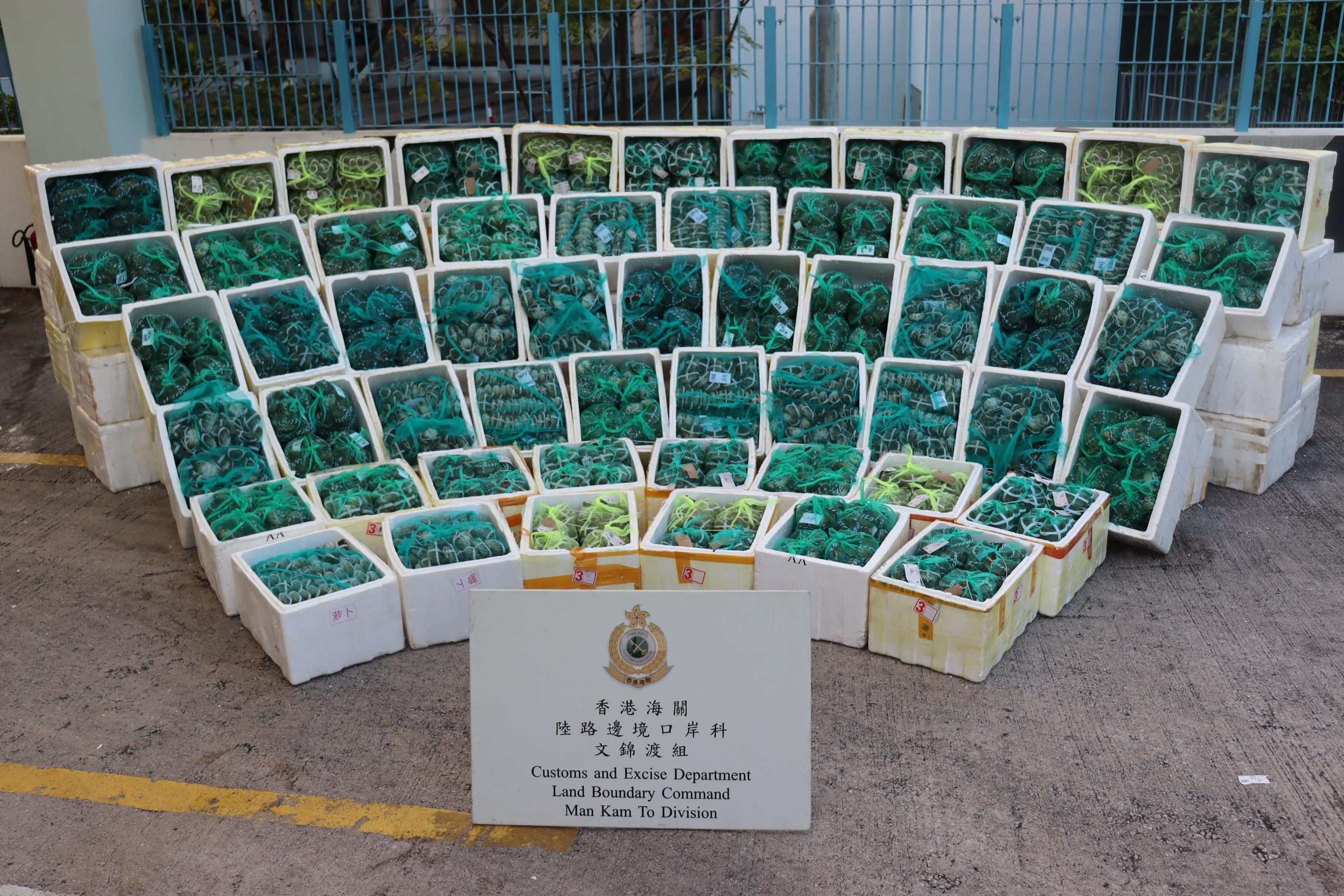 Hong Kong Customs and the Centre for Food Safety of the Food and Environmental Hygiene Department mounted a joint operation at the Man Kam To Control Point on October 31 and seized about 3.4 tonnes of suspected smuggled hairy crabs with an estimated market value of about $2.3 million.  Photo shows the suspected smuggled hairy crabs seized.