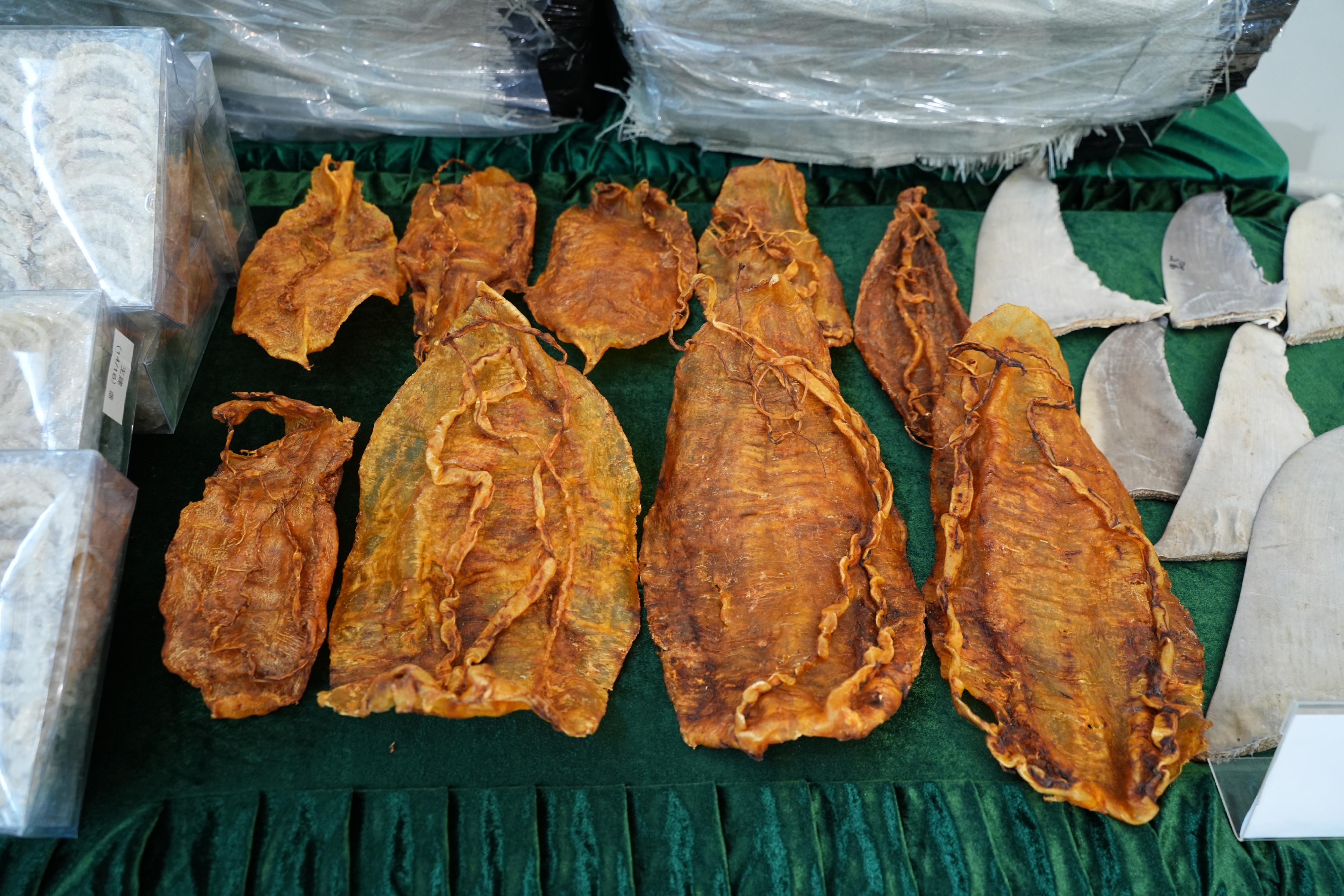 Hong Kong Customs yesterday (November 22) mounted an anti-smuggling operation in Lau Fau Shan and detected a suspected smuggling case involving a speedboat. A batch of suspected smuggled goods, with an estimated market value of about $16 million, was seized. Photo shows some of the suspected scheduled dried totoaba fish maws seized.
