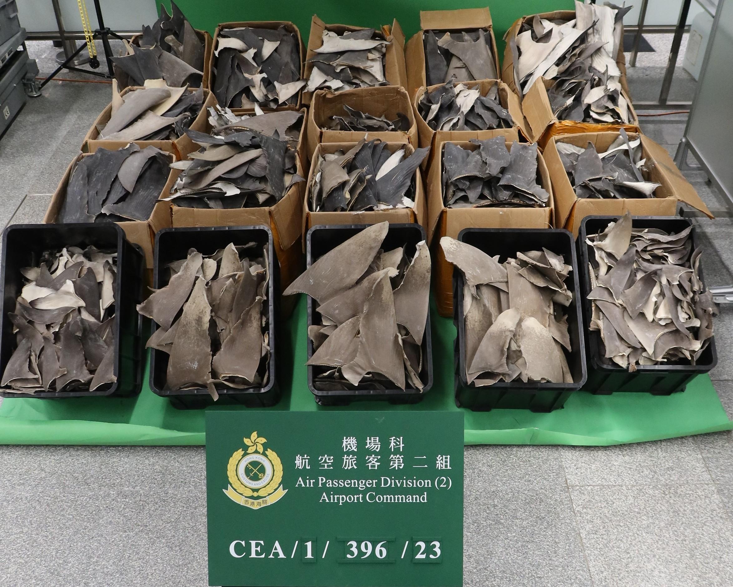 香港海关昨日（十一月二十三日）在香港国际机场检获逾四百五十公斤乾鱼翅，当中包括怀疑受管制属濒危物种的乾鱼翅，估计市值约一百三十万元。图示检获的乾鱼翅。
