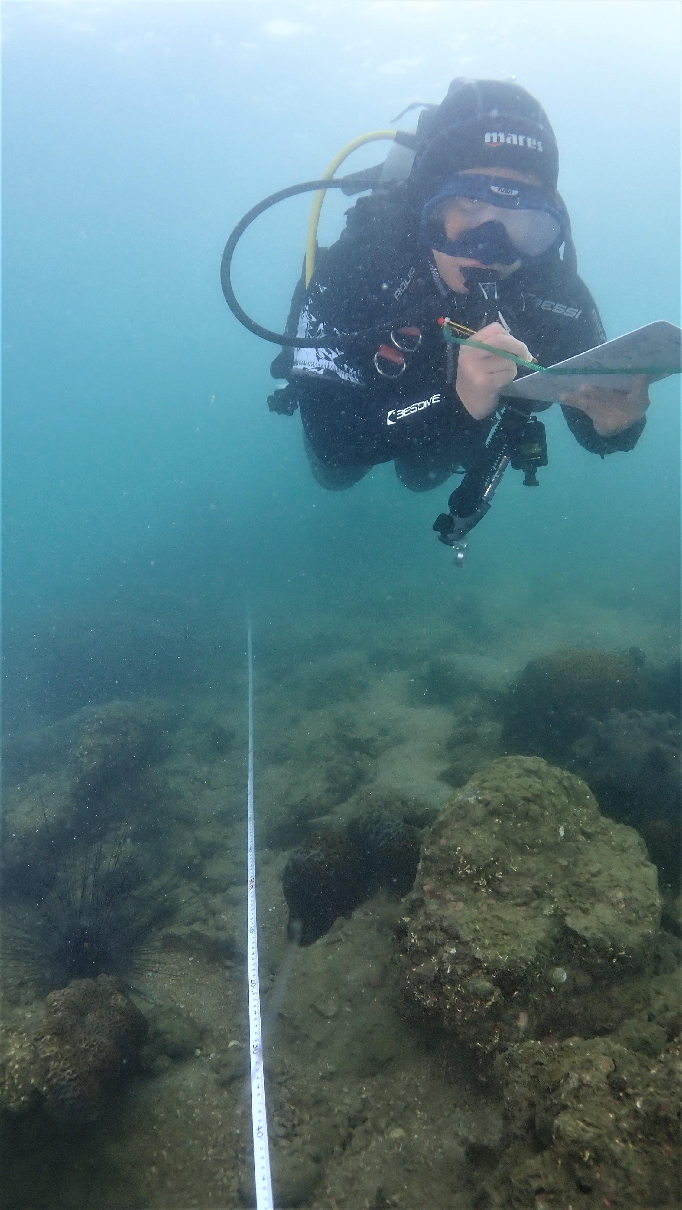 漁農自然護理署今日（十二月三日）公布今年的香港珊瑚礁普查結果，整體珊瑚健康狀況良好，物種多樣性維持於高水平。圖示一名珊瑚礁普查員進行珊瑚調查。