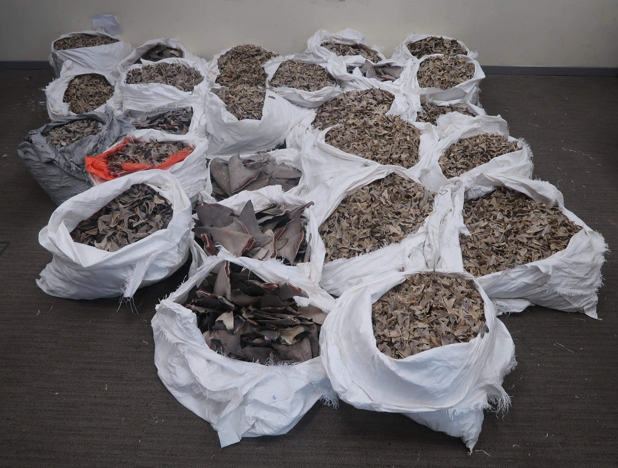 Hong Kong Customs yesterday (January 15) seized about 800 kilograms of suspected scheduled shark fins, with an estimated market value of about $4 million, at Hong Kong International Airport. Photo shows the suspected scheduled shark fins seized.
