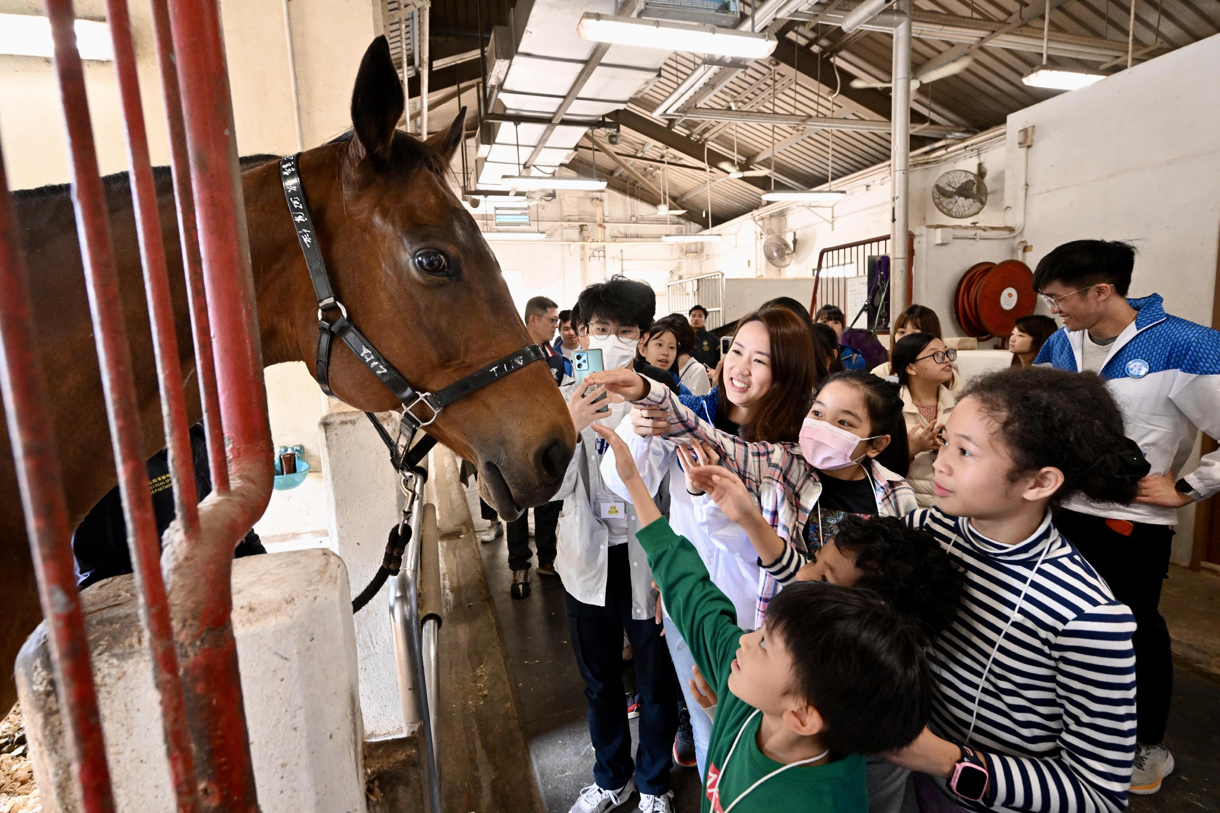 約20位來自基層家庭的小朋友今日（一月二十日）在公務員義工的陪同下，在屯門公眾騎術學校，親身了解馬匹在馬廐的環境。
