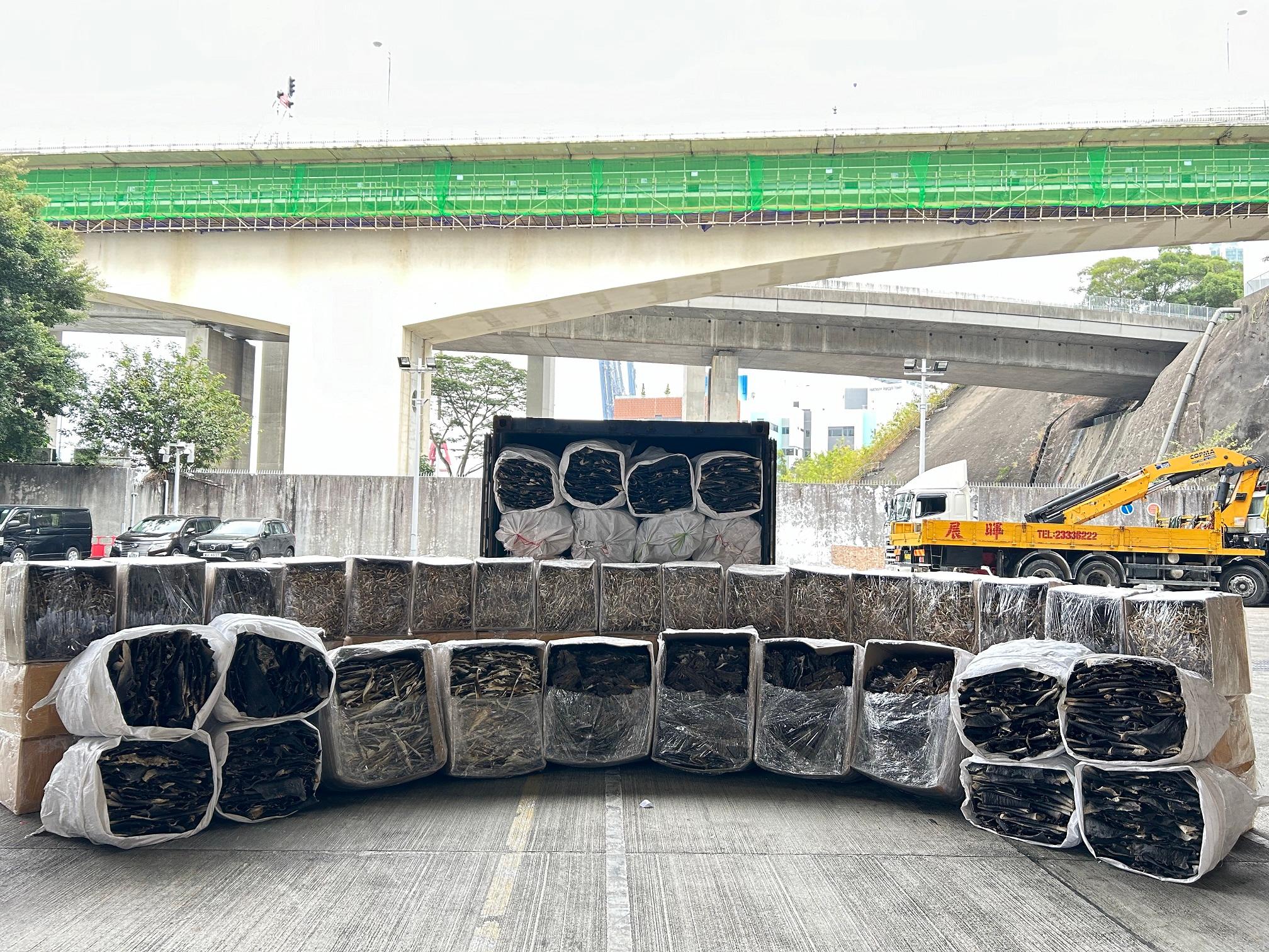 Hong Kong Customs seized about 4 200 kilograms of dried shark skins suspected to be from endangered species, with an estimated market value of about $1.7 million, at the Kwai Chung Customhouse Cargo Examination Compound yesterday (January 29).