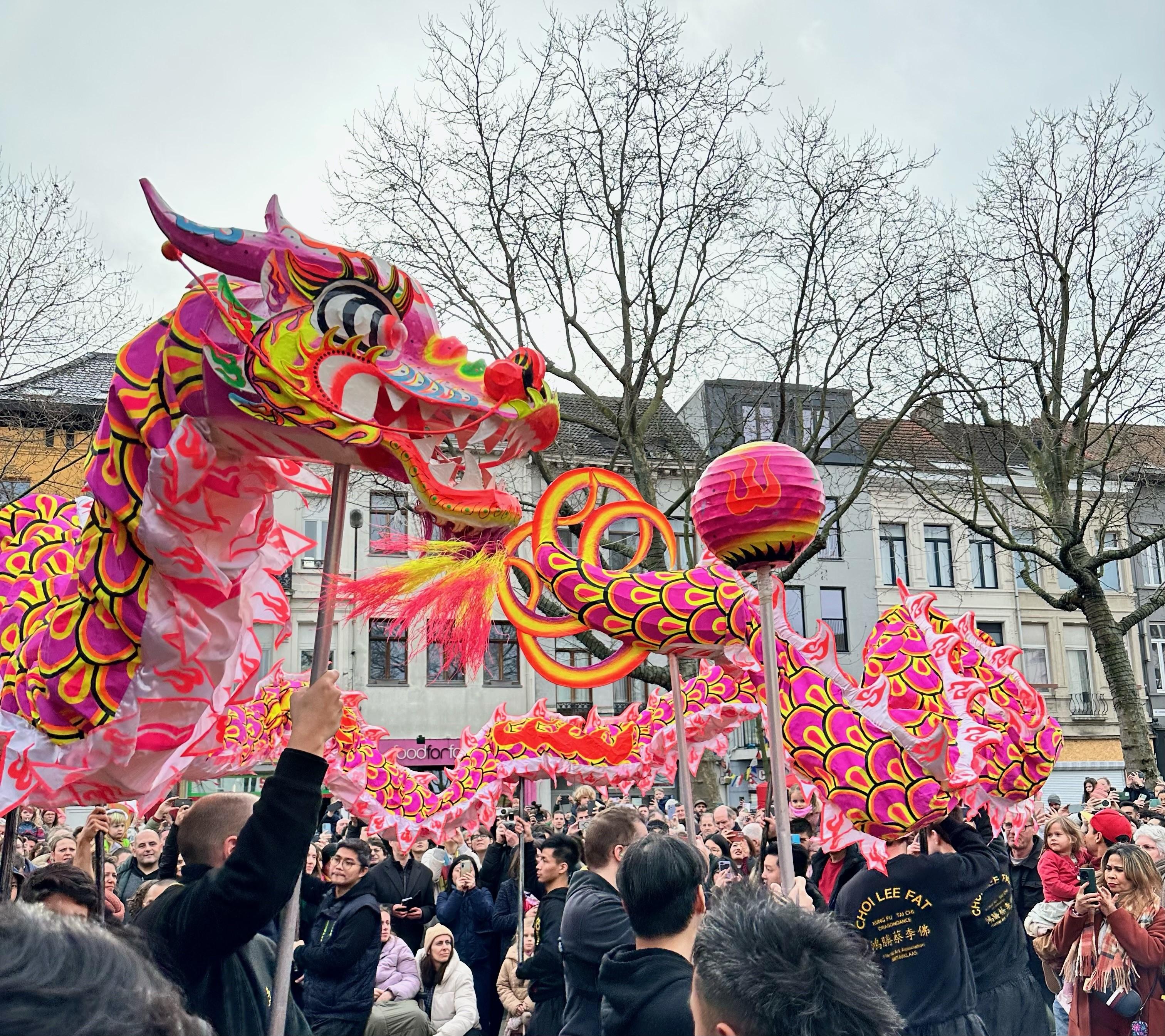 The lion dance parade held in Antwerp on February 10 (Antwerp time) attracted hundreds of Belgian and Chinese spectators to celebrate the start of the Chinese New Year.