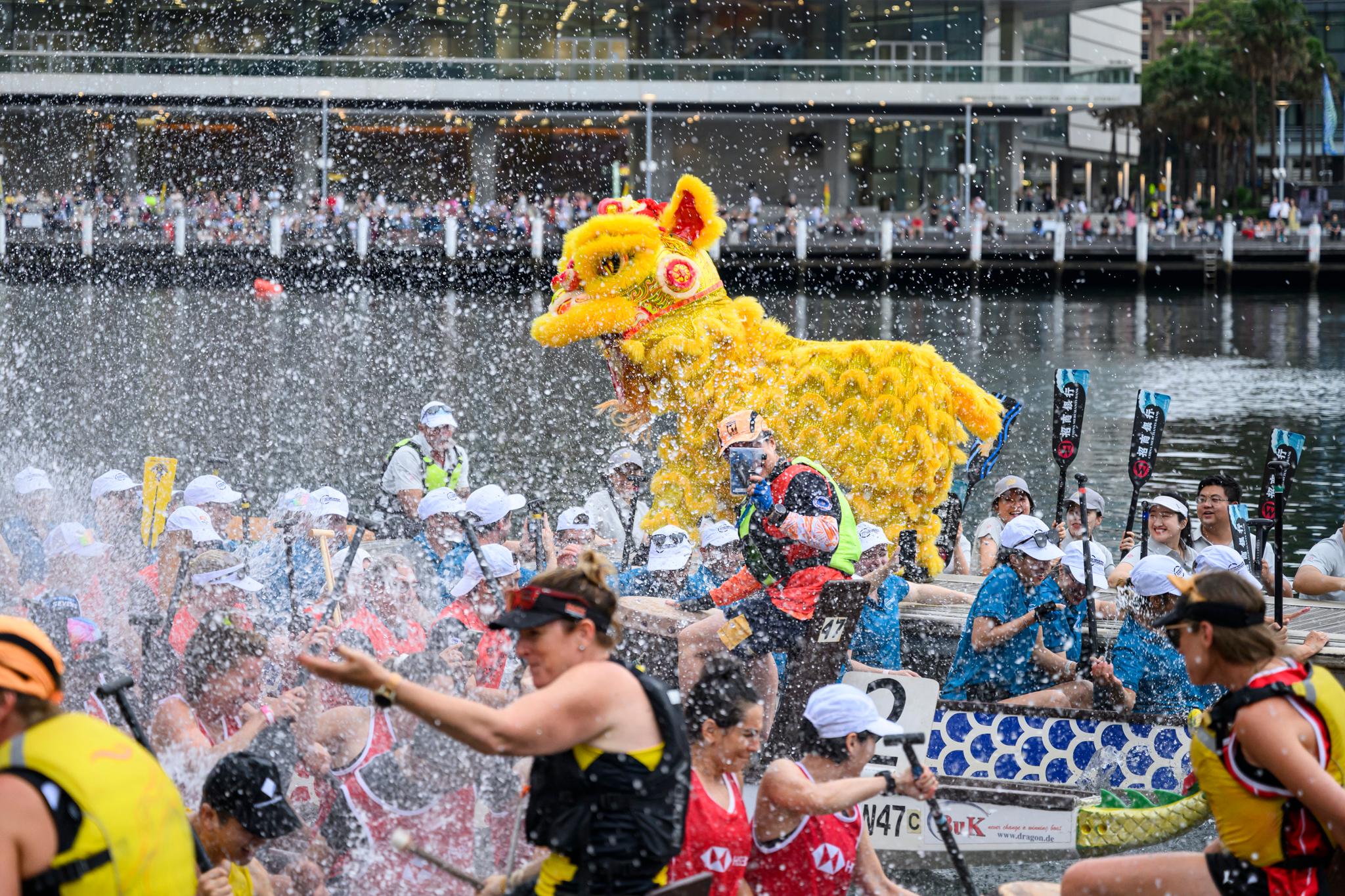 香港駐悉尼經濟貿易辦事處參加二月十六日至十八日在澳洲悉尼市舉行的悉尼新春龍舟節。圖示在二月十六日開幕典禮上的舞獅表演。