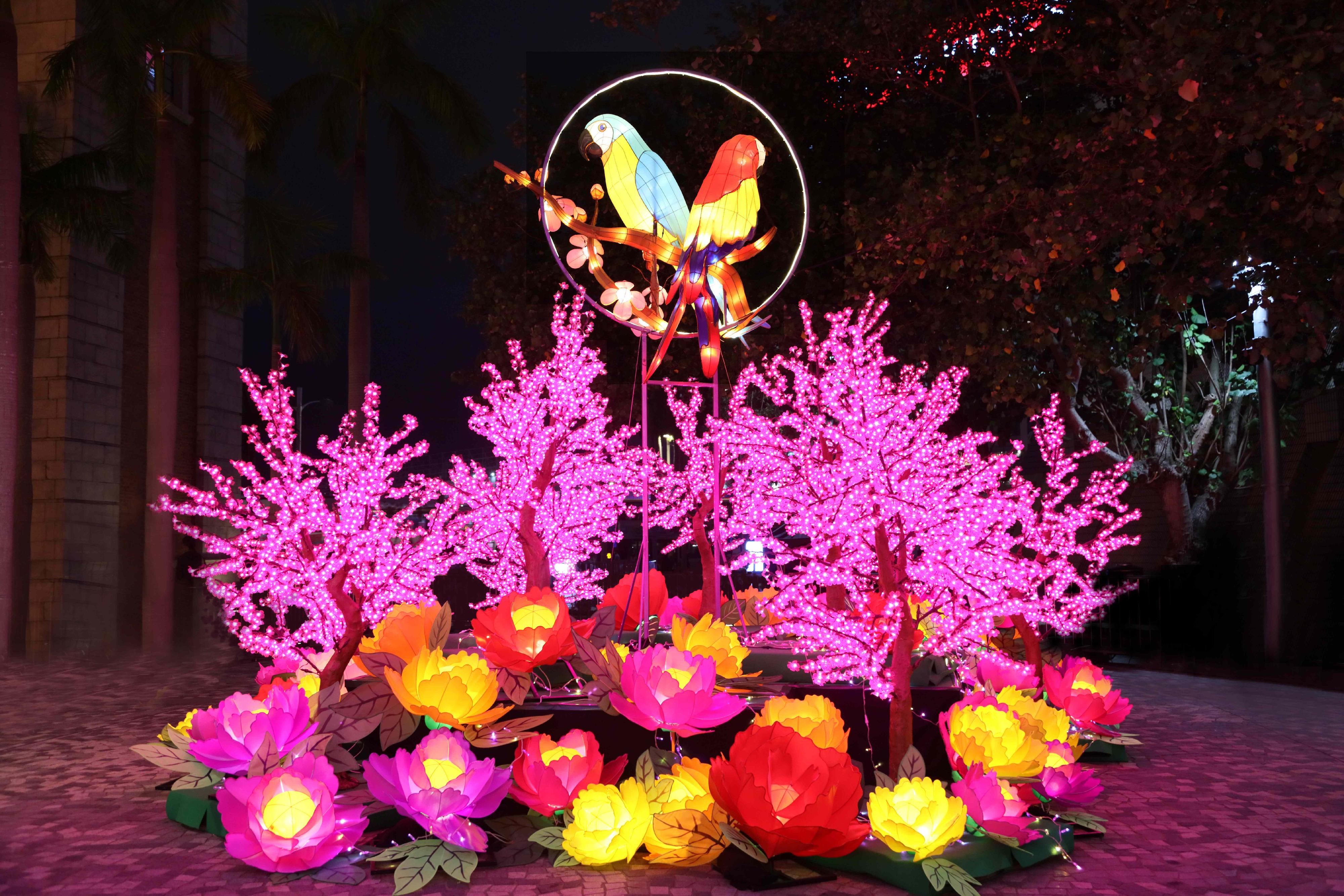 To celebrate the festive season with the public, the Leisure and Cultural Services Department is presenting the Lunar New Year Lantern Carnivals at the Hong Kong Cultural Centre Piazza, Hong Kong Velodrome Park, Tin Shui Wai Park and Ginza Square from today (February 20) until February 25. Picture shows colourful lanterns at the Hong Kong Cultural Centre Piazza.