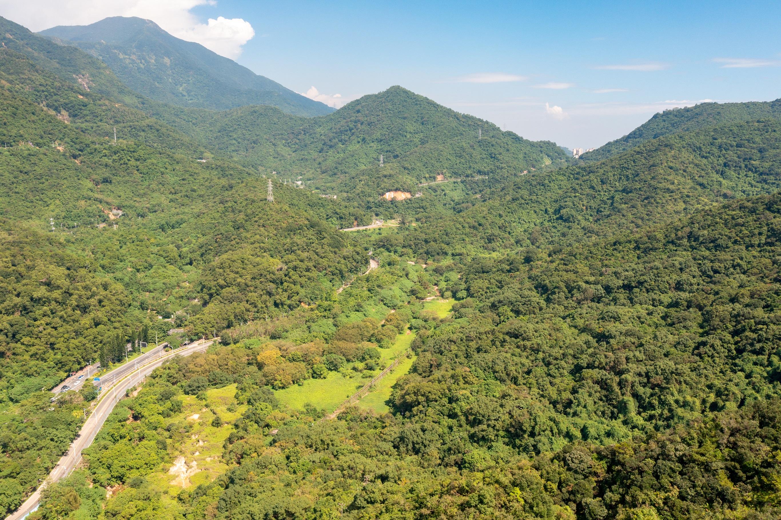 The Agriculture, Fisheries and Conservation Department announced today (March 1) that Robin's Nest Country Park was established the same day. Photo shows Robin's Nest linked with Shenzhen Wutong Mountain.

