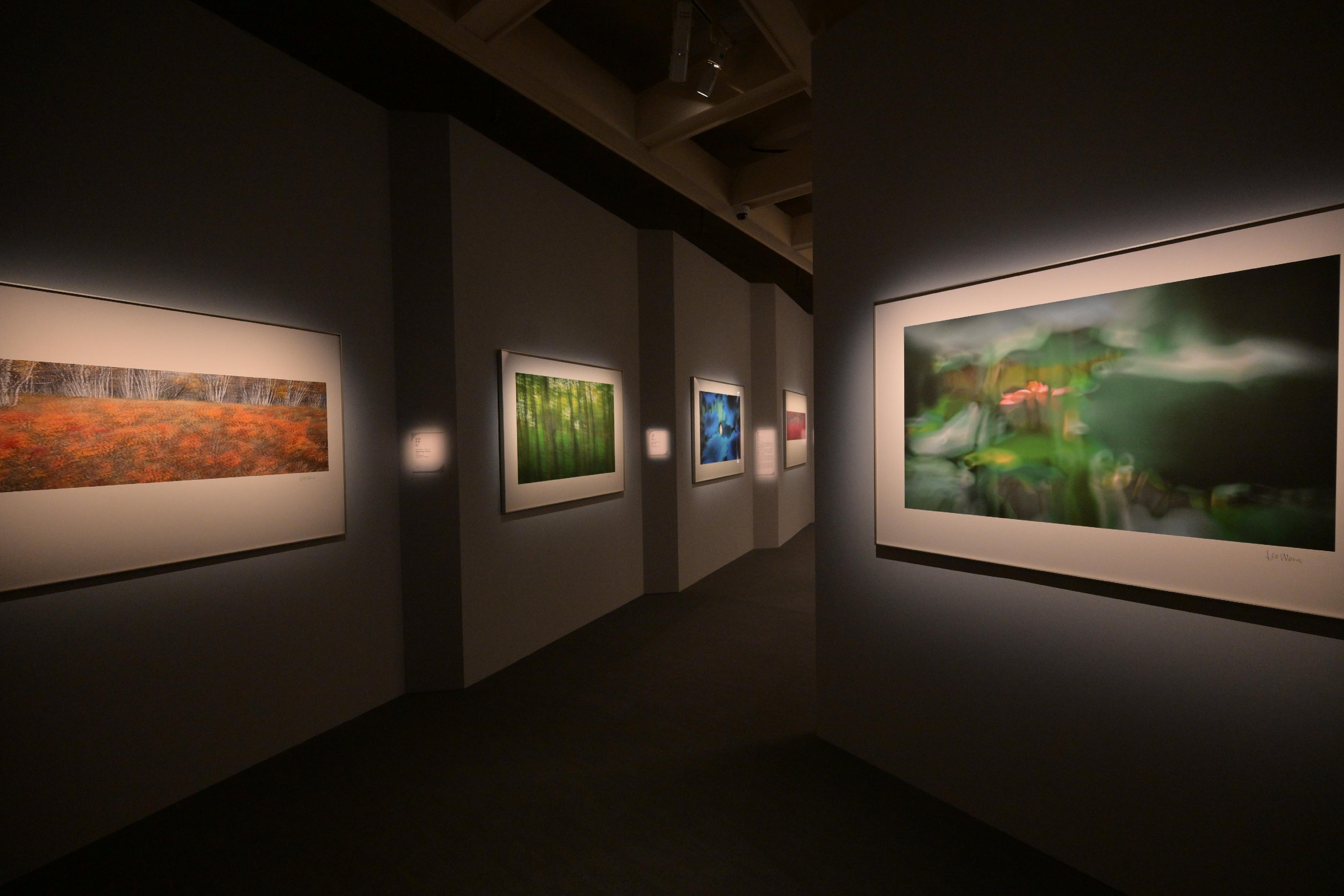 The Wu Guanzhong Art Sponsorship: Dialogue with 20th Century Chinese Art Series opened today (March 21) at the Hong Kong Museum of Art. Picture shows photographic works by renowned collector and photographer Dr Leo Wong in the "True Likeness: The Art and Collection of Jingguanlou" exhibition.