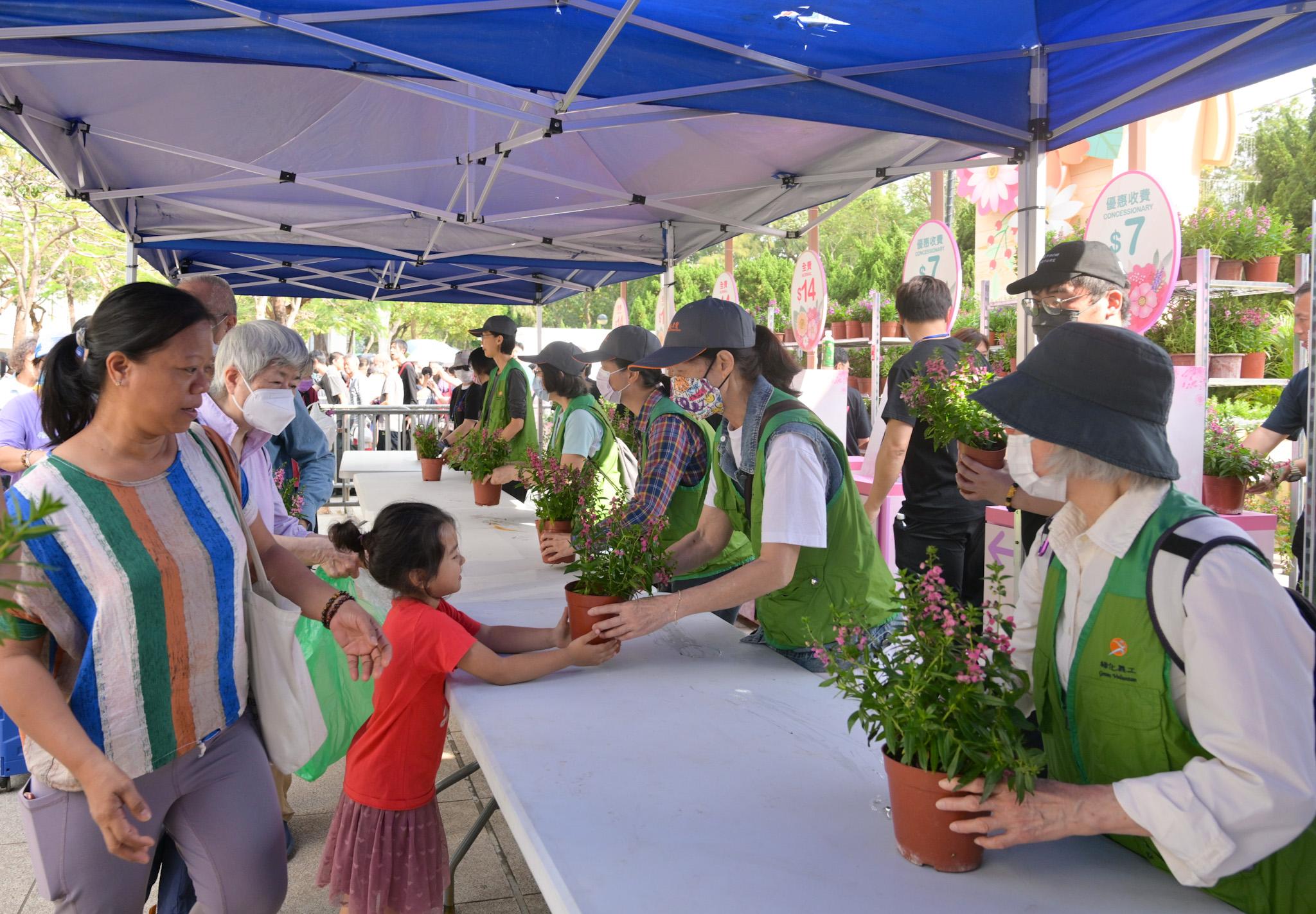 綠化義工派發花卉予市民。