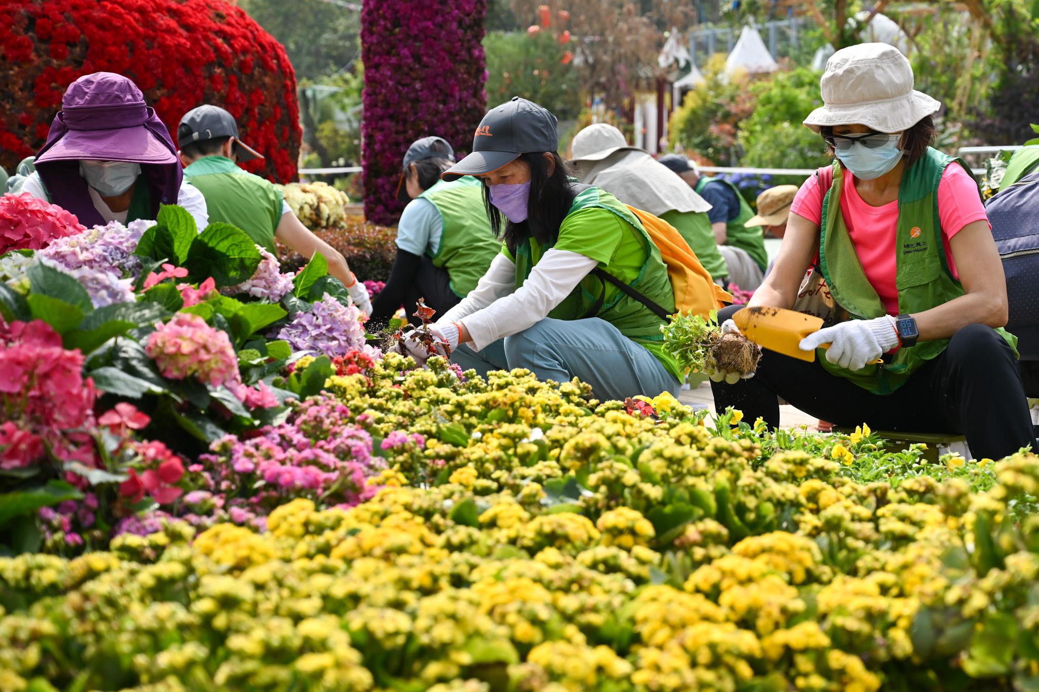 The Leisure and Cultural Services Department is once again holding Green Recycling Day (GRD) activities upon the conclusion of the Hong Kong Flower Show. The GRD activities were held today (March 25) and will continue tomorrow (March 26) at Victoria Park to reinforce green measures and reduce waste. Photo shows volunteers helping classify and collect flowers at the showground.
