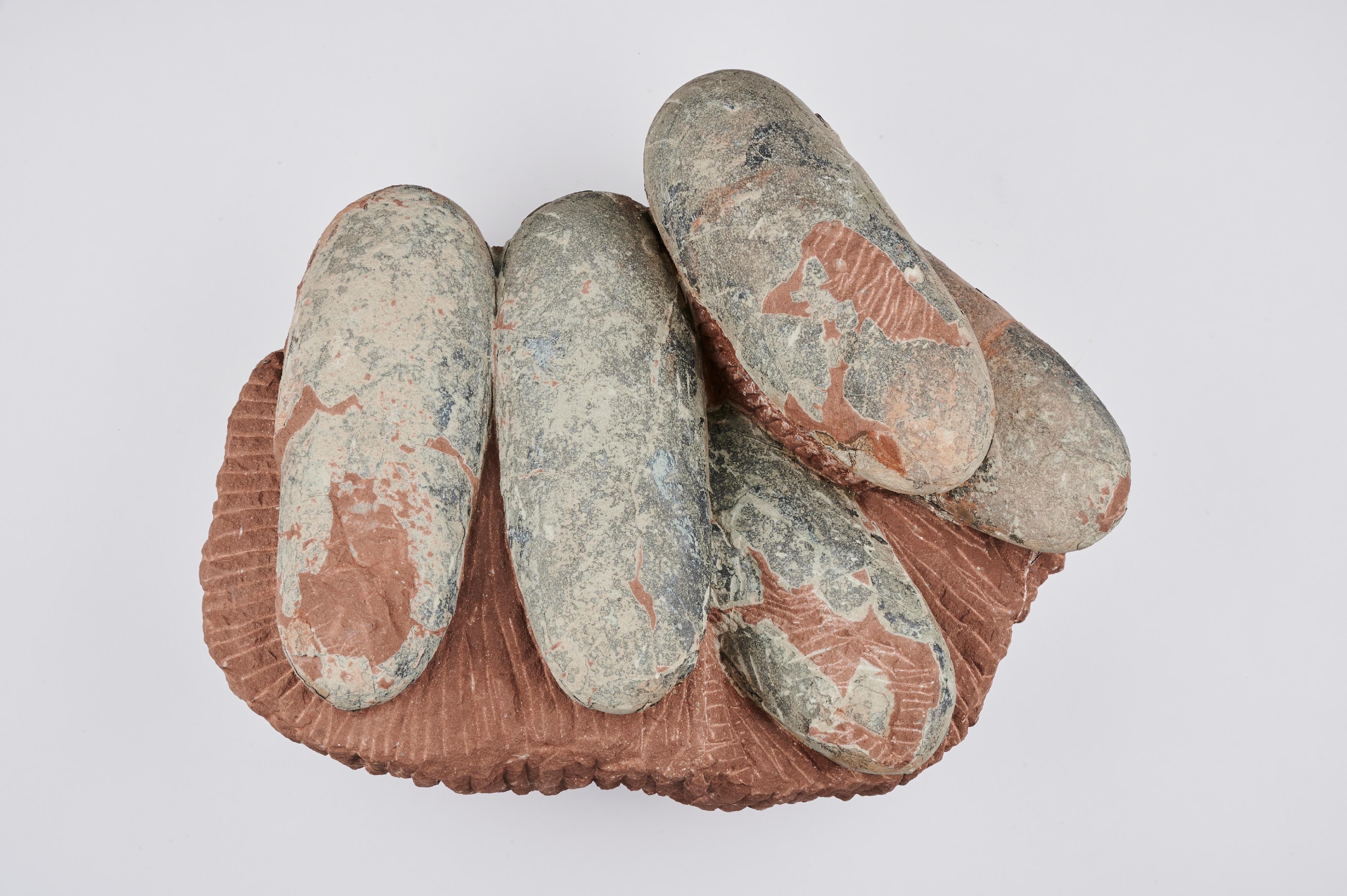 Part of the permanent exhibition "Extinction·Resilience" at the Palaeontology Gallery at the Hong Kong Science Museum will be temporarily closed from April 6 (Saturday) to the end of April for renewal of exhibits. Photo shows elongated dinosaur eggs in the late Cretaceous 70 million years ago. They will be displayed after the renewal of exhibits. 