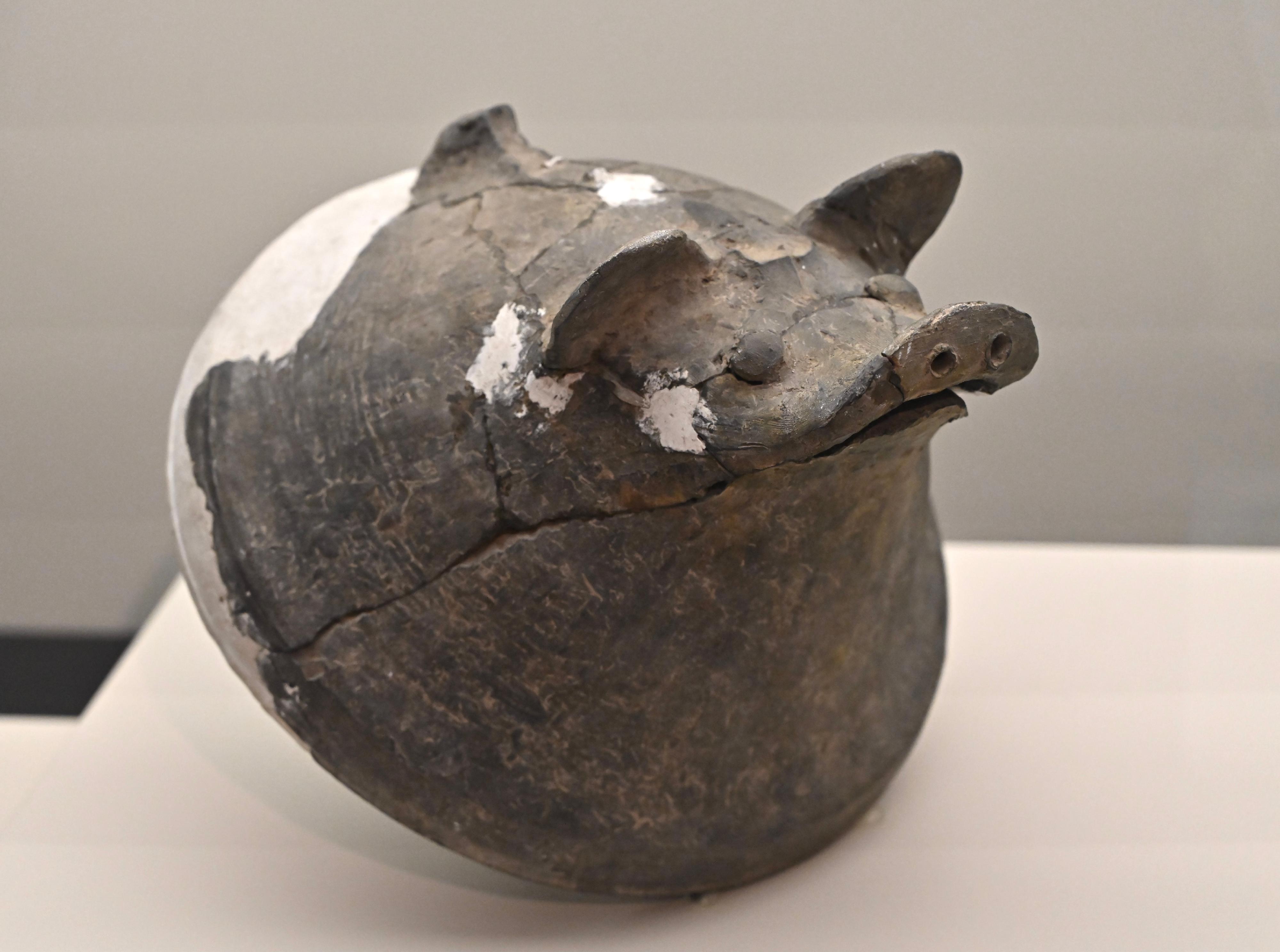 鄭州市文物考古研究院的藏品—夏代的陶豬頭蓋，出土於新密新砦寨。