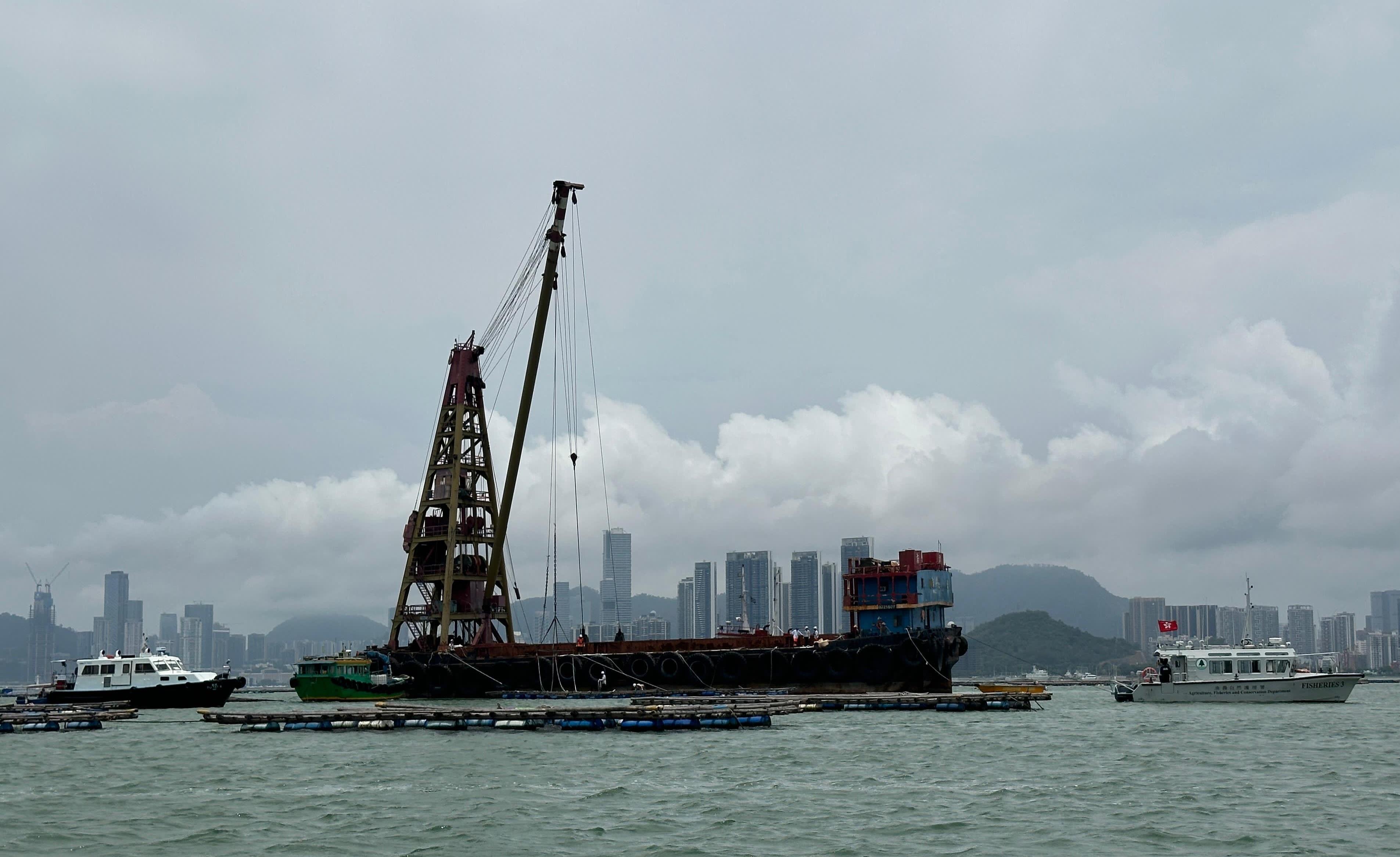 The Government's inter-departmental working group responsible for tackling management issues of oyster rafts in Deep Bay started to remove oyster rafts not authorised to temporarily remain at that location (i.e. oyster rafts without markers) today (June 13). Photo shows the removal operation underway.