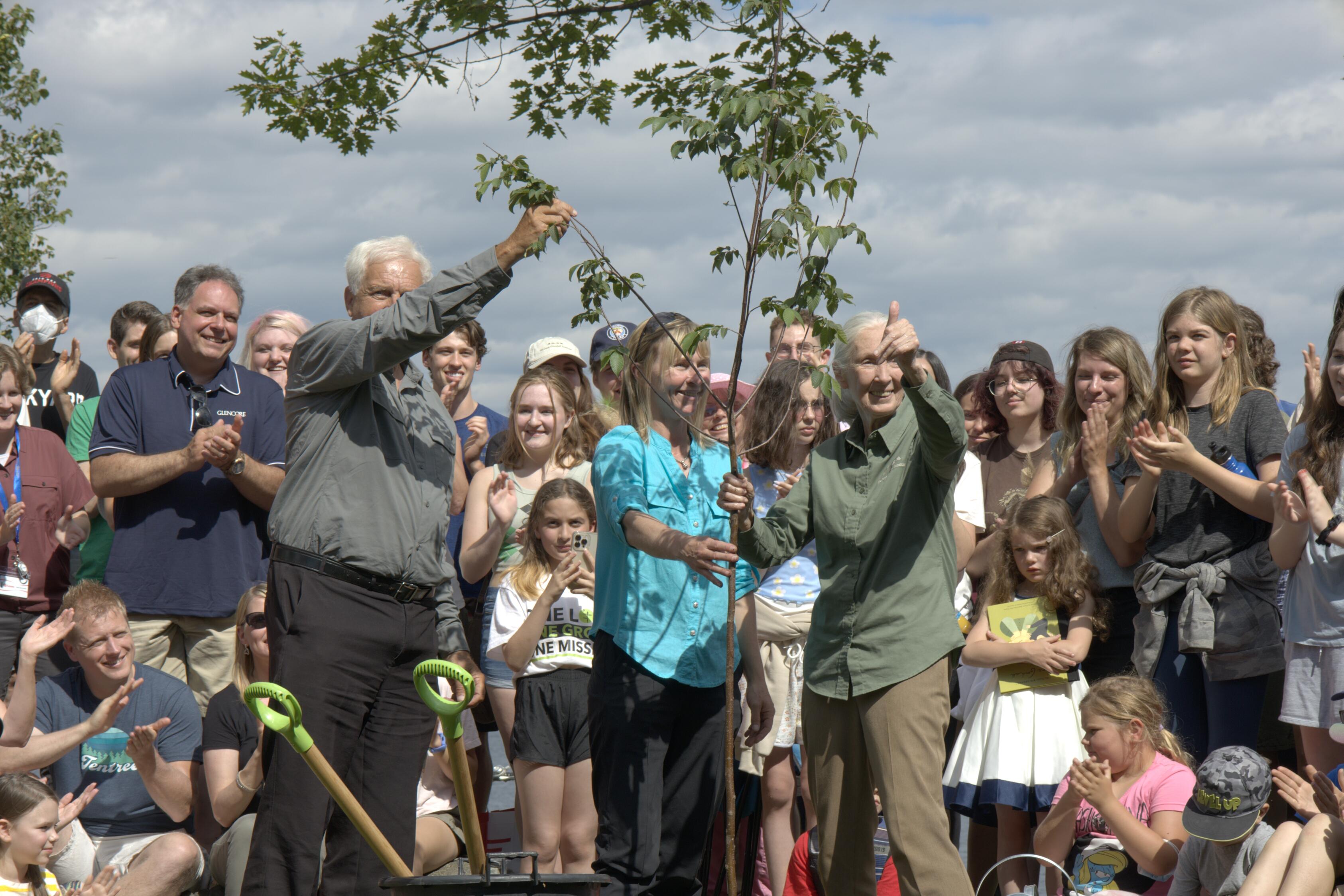 珍古德博士在加拿大薩德伯里種下當地的第一千萬棵樹。（圖片來源︰Science North）