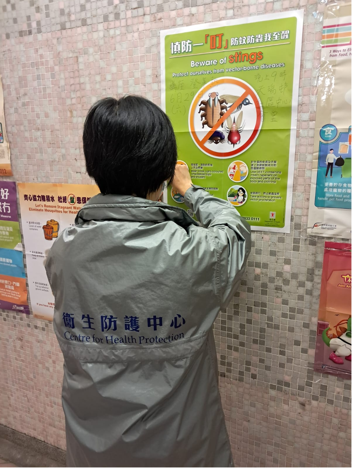 The Centre for Health Protection (CHP) of the Department of Health today (June 30) continued its investigation into a case of dengue fever (DF) announced on June 28. The CHP urged again the public to maintain strict environmental hygiene, mosquito control and personal protective measures both locally and during travel. Photo shows an officer from the CHP posting a poster on prevention of DF at Tin Shui (1) Estate in Tin Shui Wai.