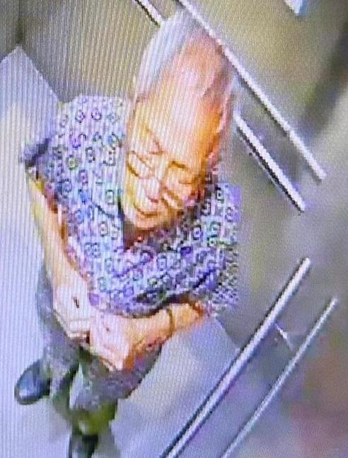 Lee Sik-toi, aged 75, is about 1.7 metres tall, 63 kilograms in weight and of medium build. He has a pointed face with yellow complexion and short white hair. He was last seen wearing a blue shirt with floral pattern, grey trousers and black shoes.