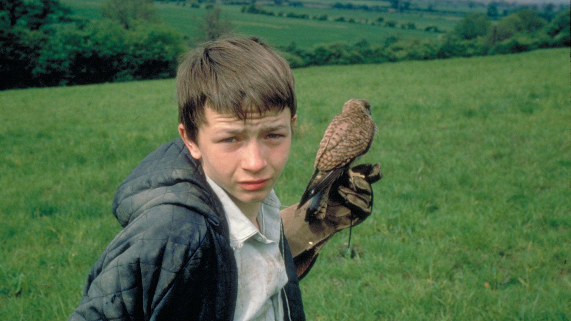 The Film Programmes Office of the Leisure and Cultural Services Department will present the programme "Coming of Age Fest" from September 28 to October 26, showcasing a selection of 12 films about growing up from Hong Kong and around the world at the Cinema of the Hong Kong Film Archive and Emperor Cinemas iSQUARE. Photo shows a film still of "Kes". (Film still source: Kes © 1969 Metro-Goldwyn-Mayer Studios Inc. All Rights Reserved.)