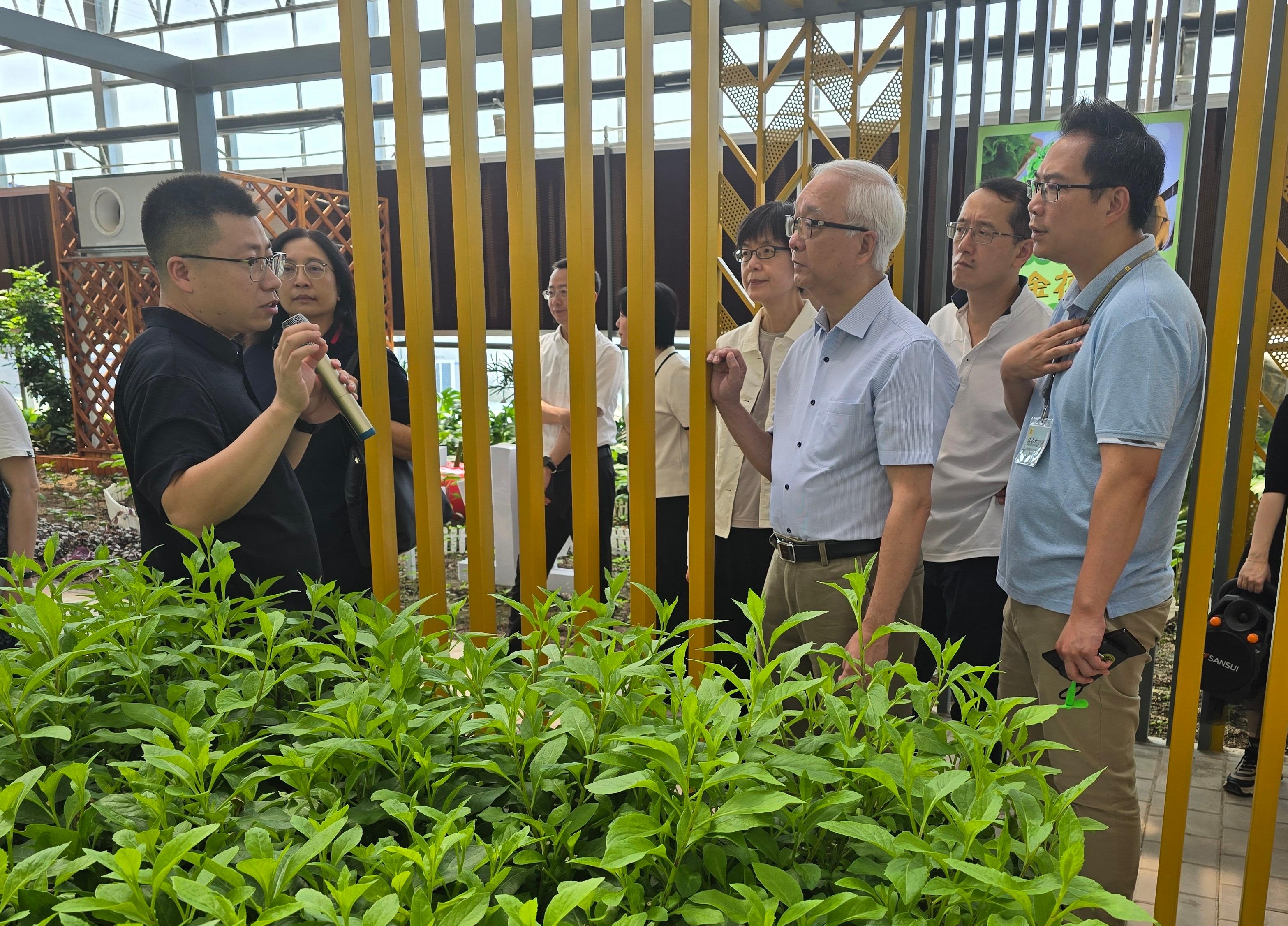 The Secretary for Environment and Ecology, Mr Tse Chin-wan, together with the Legislative Council Panel on Food Safety and Environmental Hygiene, visited the modern and high-tech core demonstration base for agriculture at the Jiangdu Modern Agricultural Industrial Park in Yangzhou today (August 23). Photo shows Mr Tse (third right), the Chairman of the Panel, Mr Yang Wing-kit (first right), and members of the delegation being briefed by a staff member on their work in vegetable and fruit production.