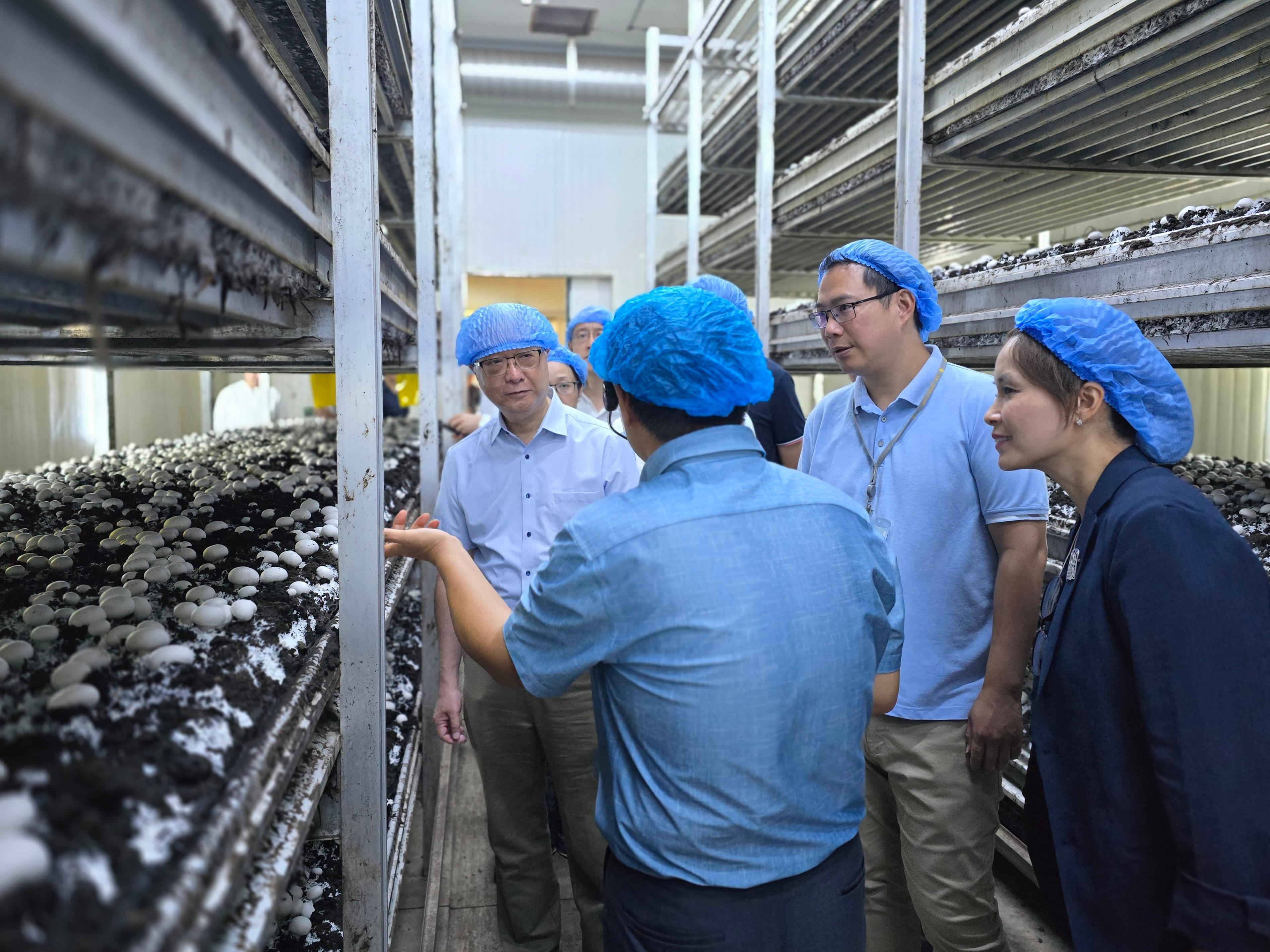 The Secretary for Environment and Ecology, Mr Tse Chin-wan, together with the Legislative Council Panel on Food Safety and Environmental Hygiene, today (August 23) visited a biotechnology company in Yangzhou specialising in mushroom cultivation. Photo shows Mr Tse (first left), the Chairman of the Panel, Mr Yang Wing-kit (second right), and members of the delegation being briefed by a staff member to learn more about the latest developments in smart cultivation of edible fungi and how scientific agriculture can enhance food safety.