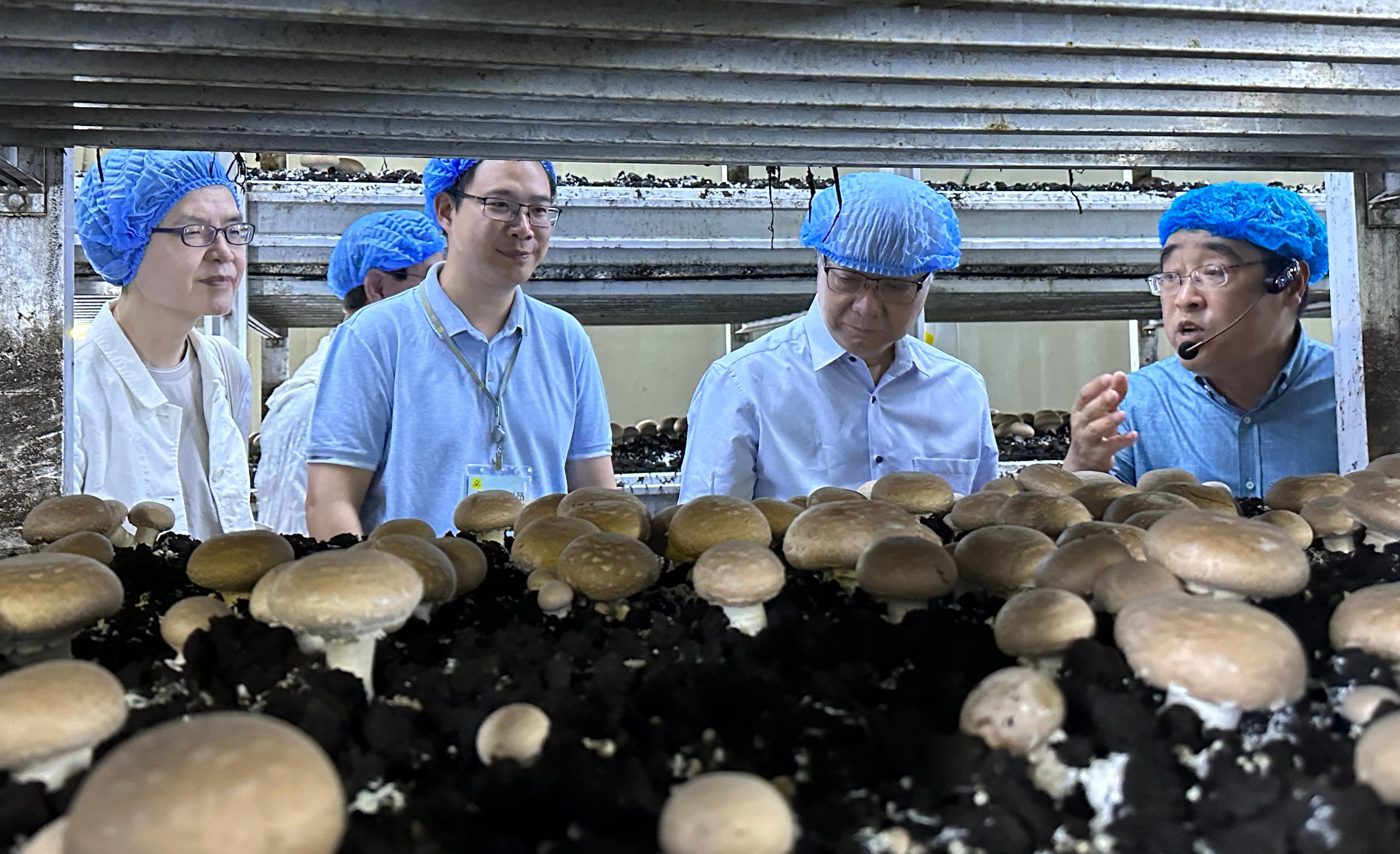 The Secretary for Environment and Ecology, Mr Tse Chin-wan, together with the Legislative Council Panel on Food Safety and Environmental Hygiene, today (August 23) visited a biotechnology company in Yangzhou specialising in mushroom cultivation. Photo shows Mr Tse (second right); the Chairman of the Panel, Mr Yang Wing-kit (third right); and the Permanent Secretary for Environment and Ecology (Food), Miss Vivian Lau (first left), being briefed by a staff member to learn more about the latest developments in smart cultivation of edible fungi and how scientific agriculture can enhance food safety.