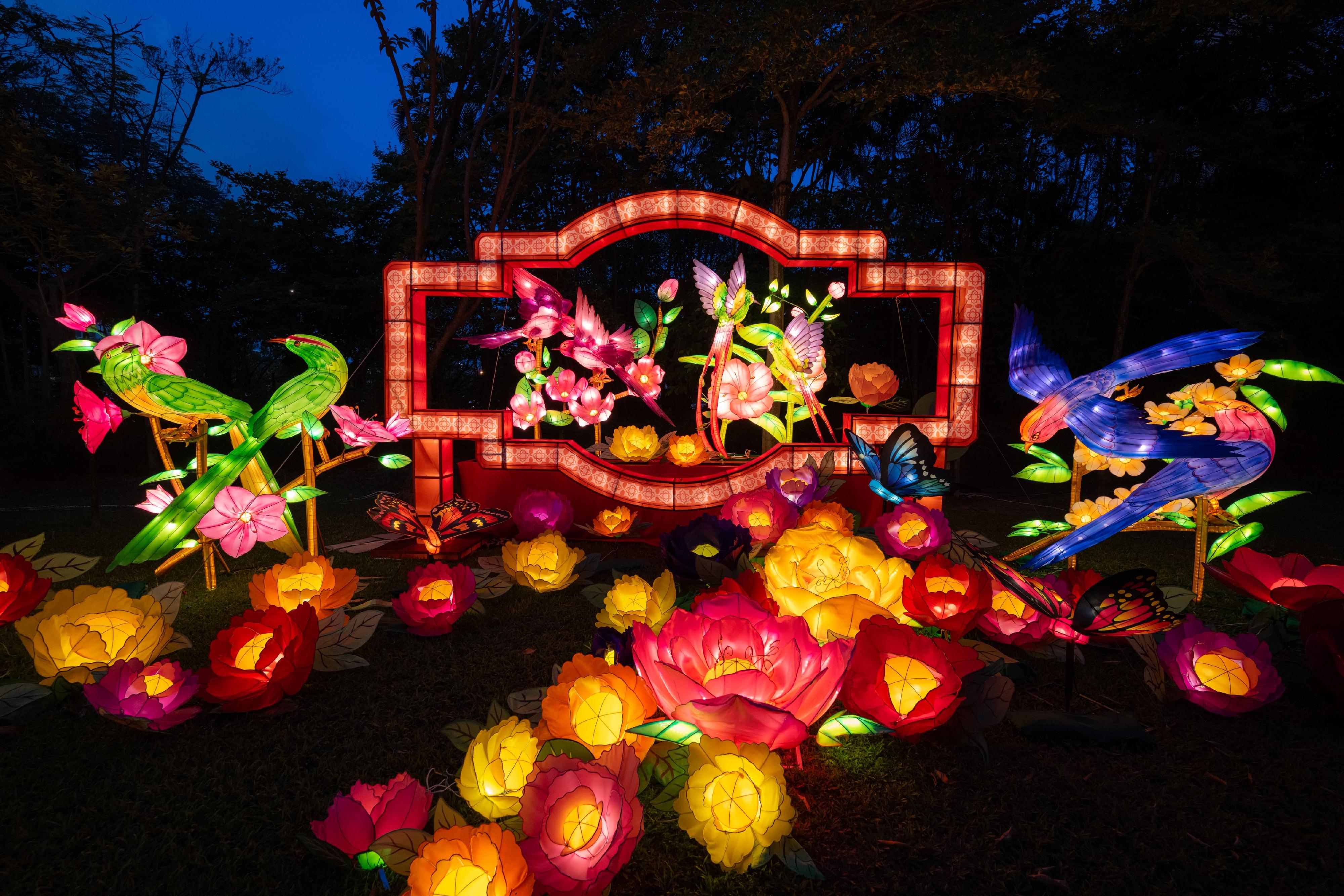 To celebrate National Day in advance, the Mid-Autumn Lantern Carnivals 2024 presented by the Leisure and Cultural Services Department are taking place at Victoria Park and Tsing Yi Park from today (September 12) until September 18. Photo shows lanterns in the shapes of flowers and birds now on display at Tsing Yi Park.