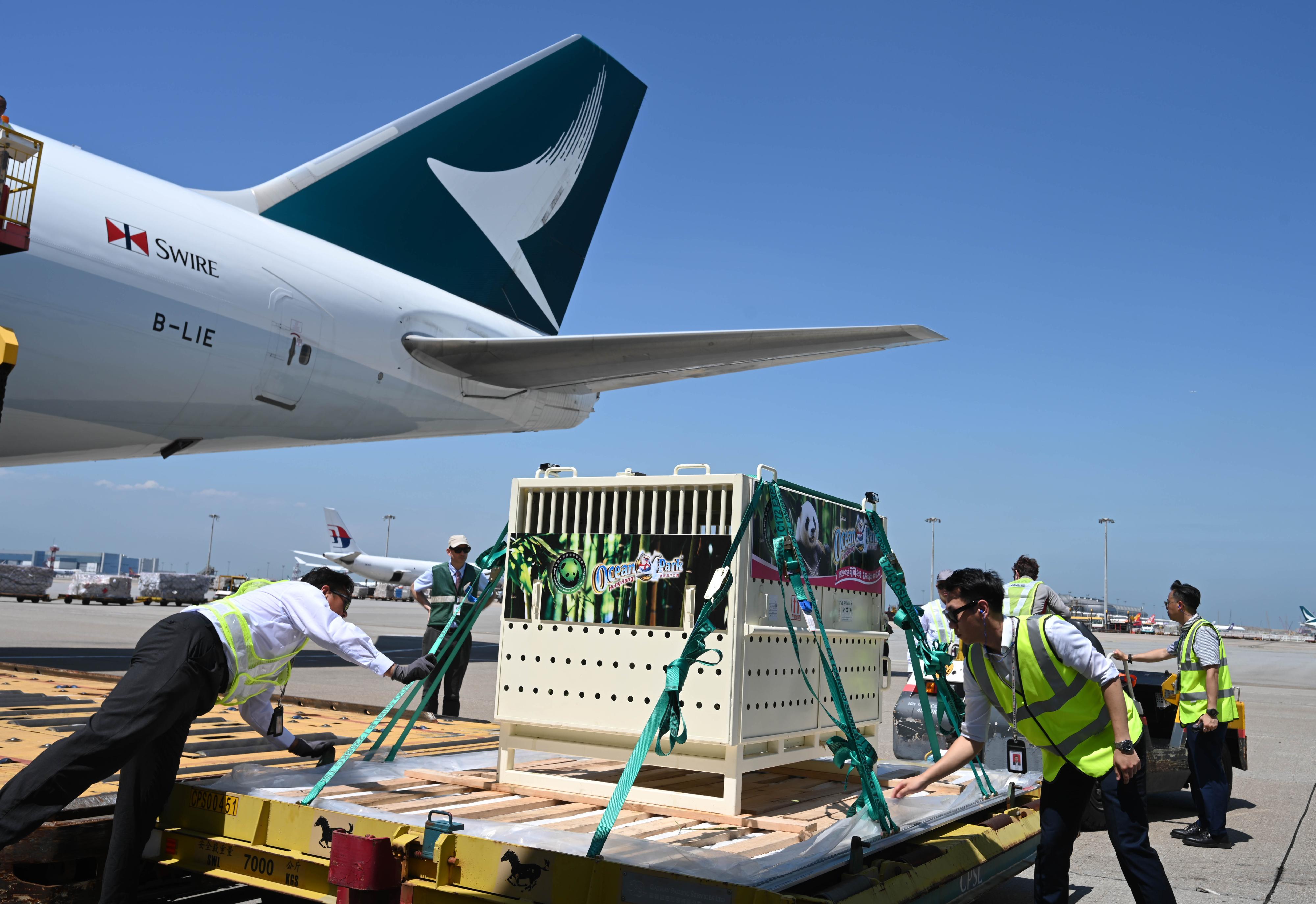 The pair of giant pandas gifted by the Central Government to the Hong Kong Special Administrative Region in celebration of the 75th anniversary of the founding of the People's Republic of China arrived safely in Hong Kong today (September 26) from Dujiangyan, Sichuan.