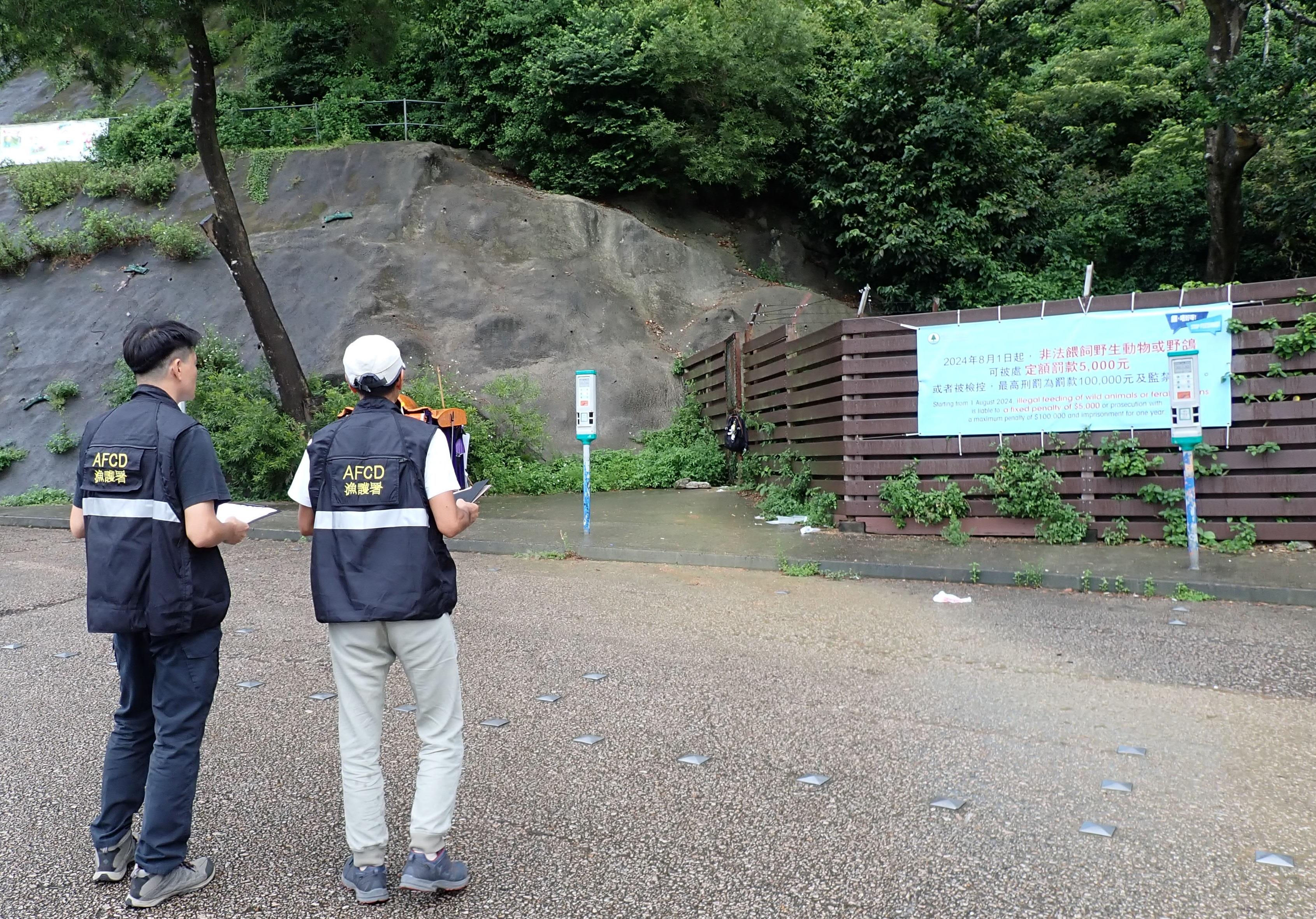 Since the newly amended Wild Animals Protection Ordinance (Cap. 170) came into operation on August 1, the Agriculture, Fisheries and Conservation Department (AFCD) has stepped up patrols and enforcement operations with a view to combatting illegal feeding of wild animals and feral pigeons. Photo shows AFCD staff patrolling a location with previous records of illegal feeding activities to take appropriate enforcement action as necessary.