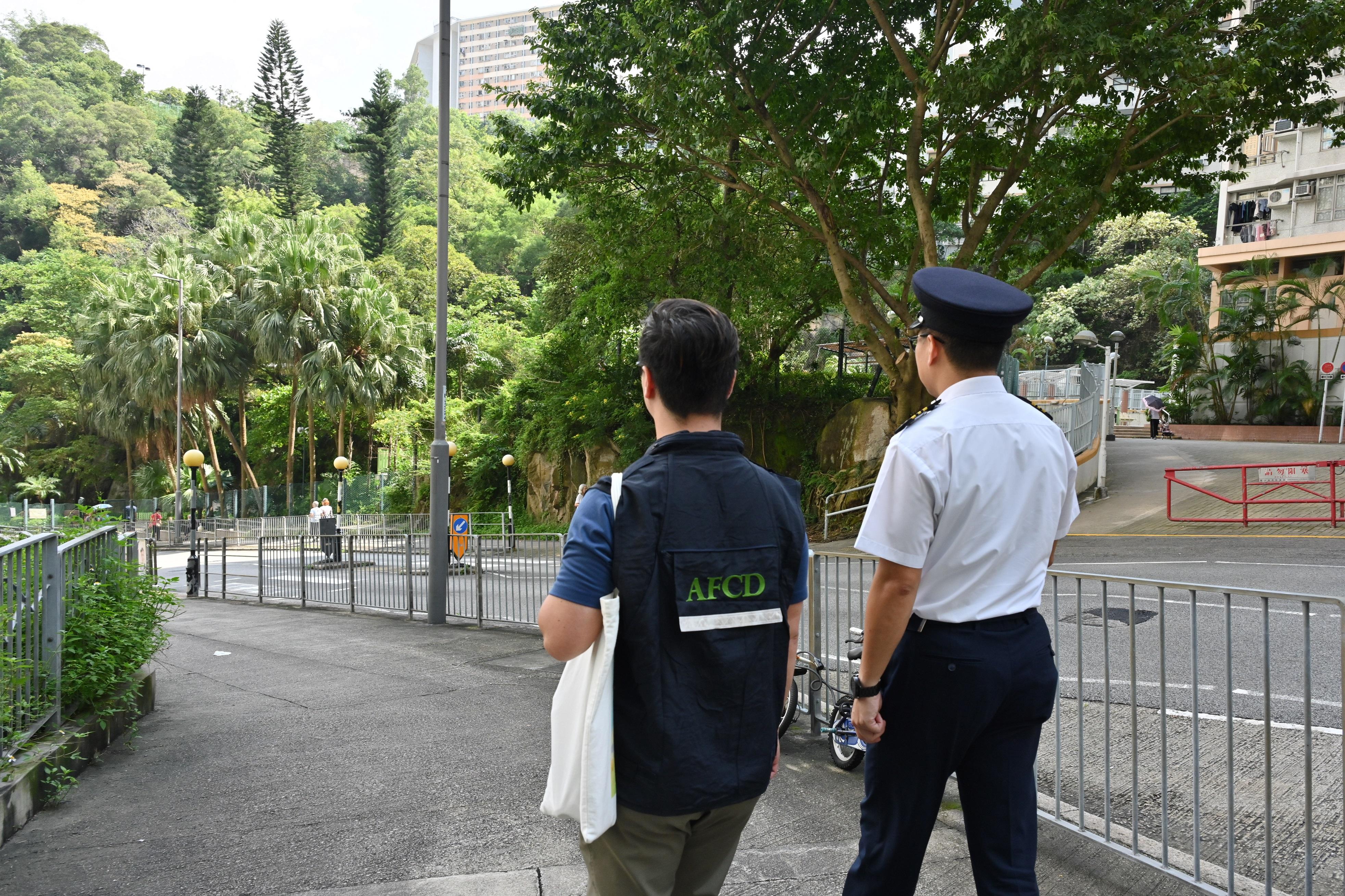 Since the newly amended Wild Animals Protection Ordinance (Cap. 170) came into operation on August 1, the Agriculture, Fisheries and Conservation Department (AFCD) has stepped up patrols and enforcement operations with a view to combatting illegal feeding of wild animals and feral pigeons. Photo shows staff of the AFCD and the Food and Environmental Hygiene Department conducting a joint operation against illegal feeding activities.