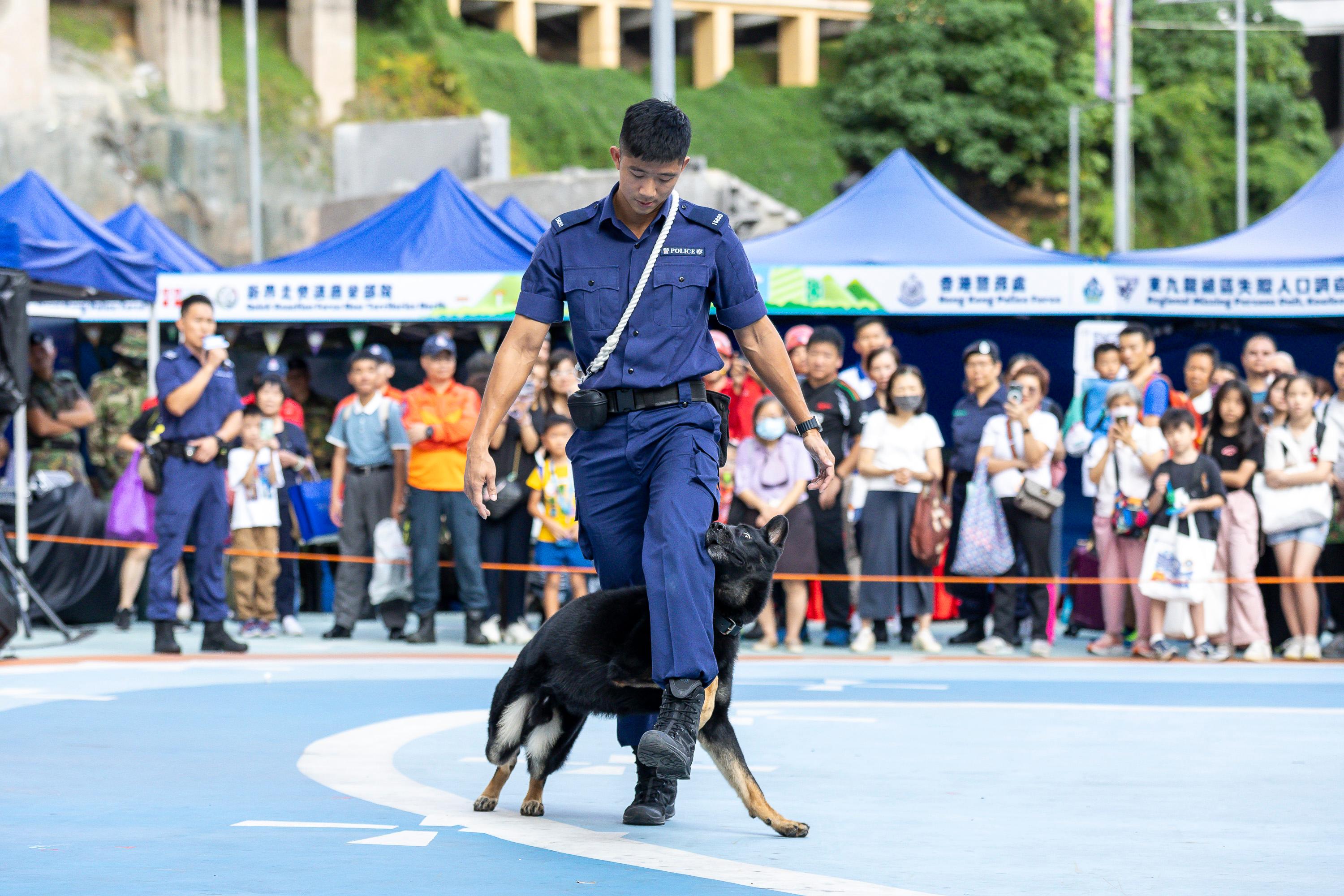 The Civil Aid Service (CAS) held the Mountaineering Safety Promotion Day 2024 and 55th Anniversary of the CAS Mountain Search and Rescue Company with various government departments and mountaineering organisations today (October 20) at the Free Space, Kwun Tong Town Centre. Photo shows police dogs performing at the event.