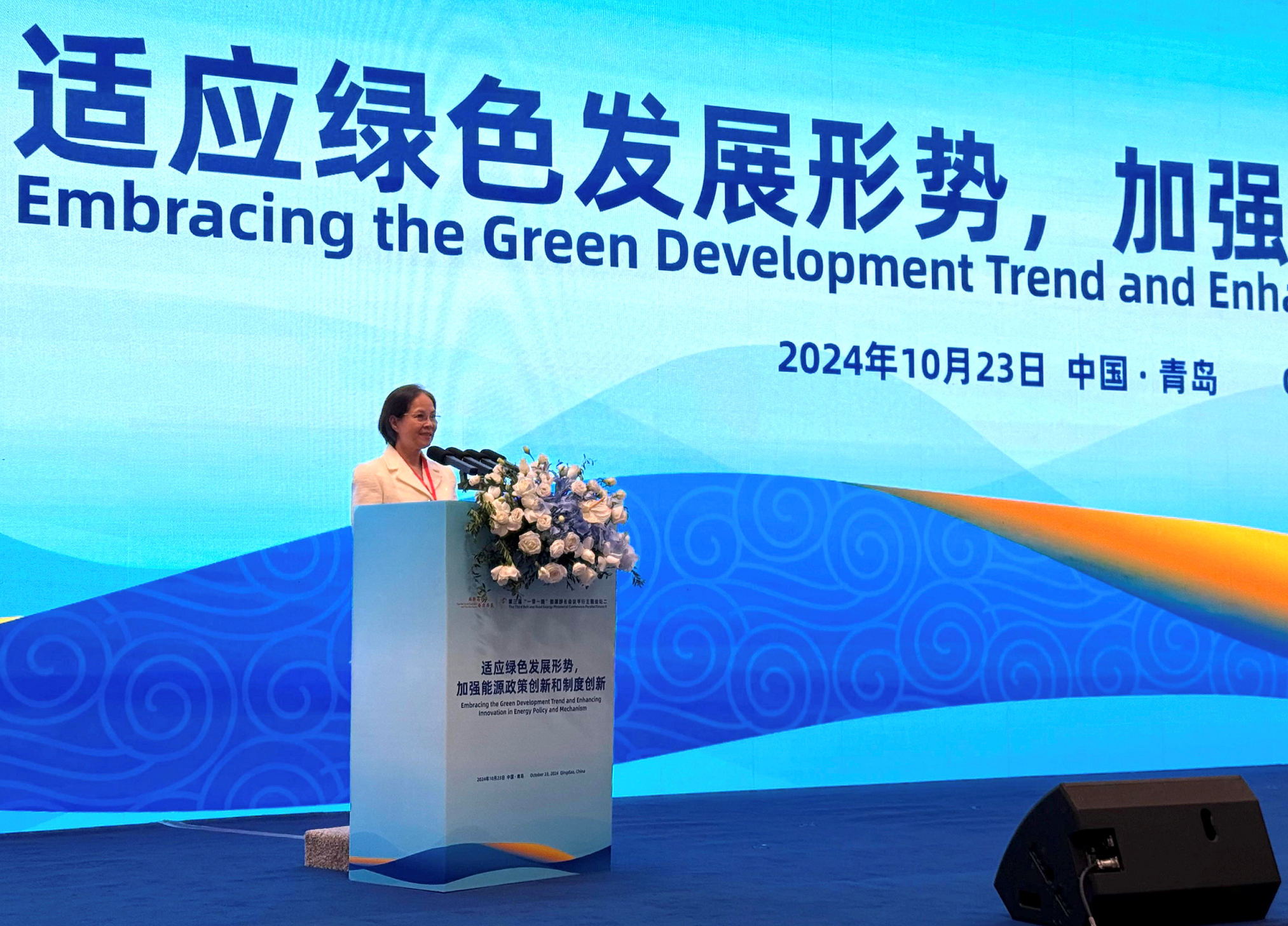 The Under Secretary for Environment and Ecology, Miss Diane Wong, spoke at the Third Belt and Road Energy Ministerial Conference today (October 23).