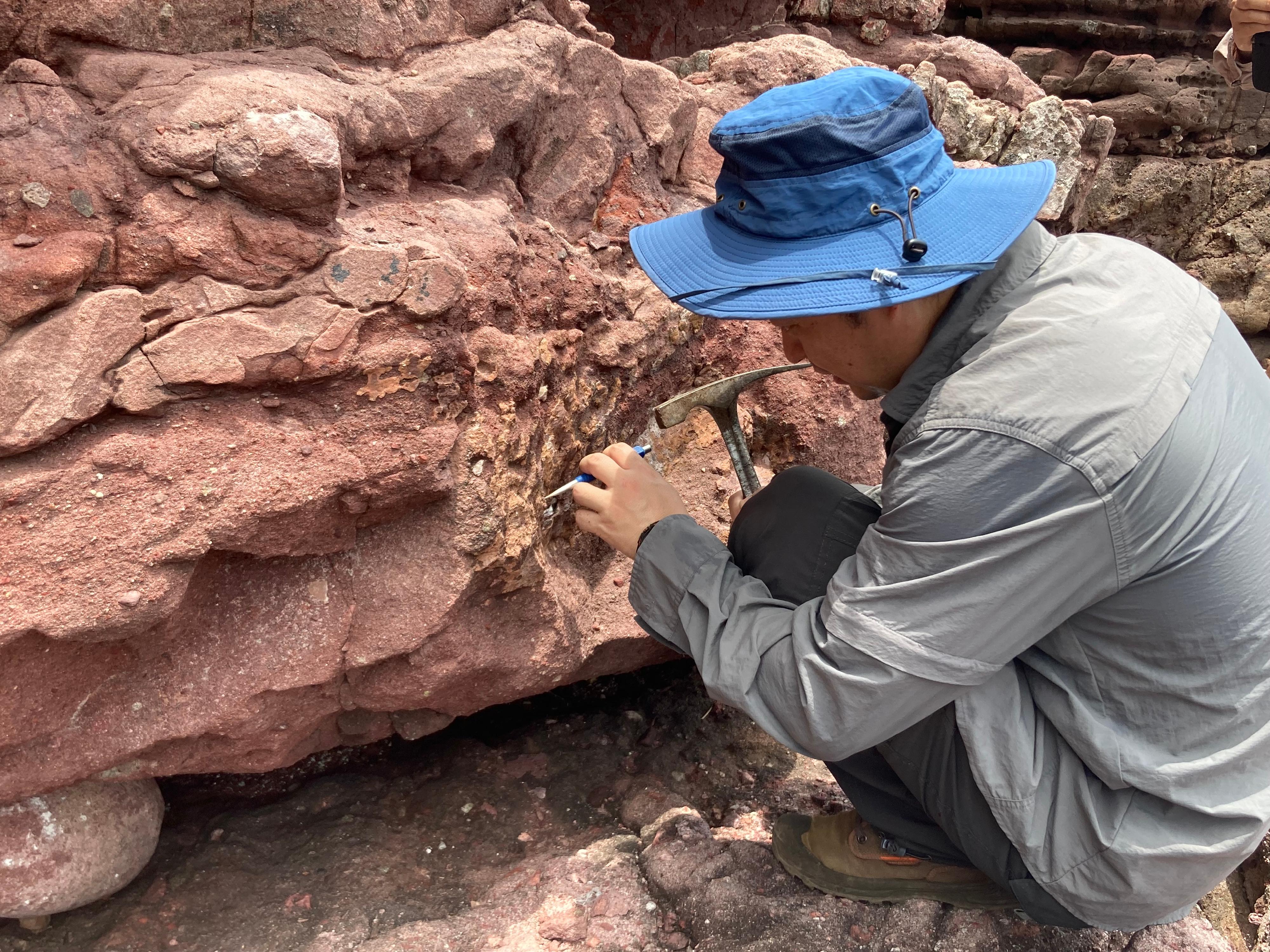 Dinosaur fossils were discovered for the first time in Hong Kong. Photo shows an expert of the Institute of Vertebrate Paleontology and Paleoanthropology of the Chinese Academy of Sciences collecting fossil specimens on Port Island in the Hong Kong UNESCO Global Geopark.