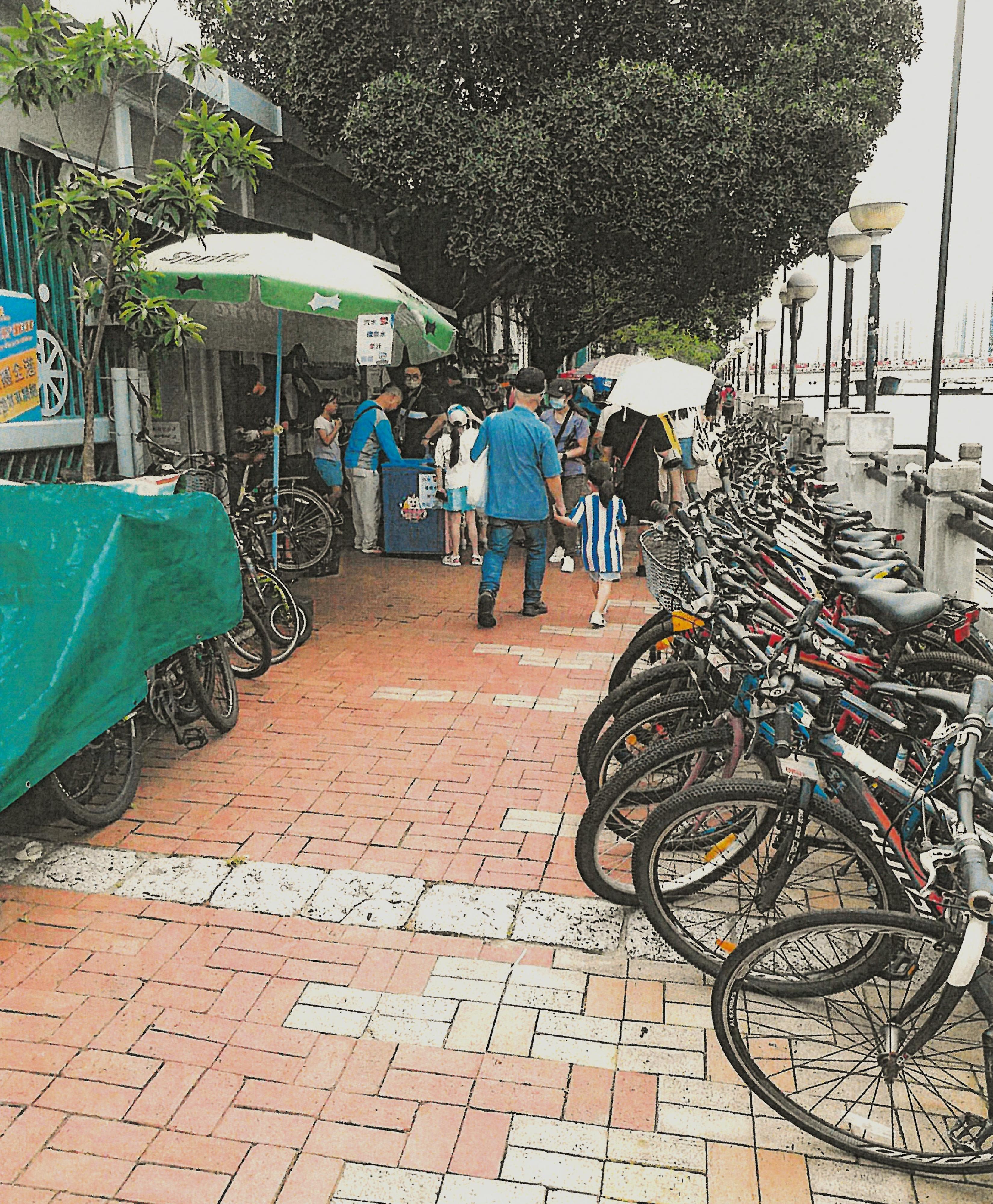申訴專員陳積志今日（十一月二十一日）公布有關康樂及文化事務署處理單車租賃服務營辦商的單車阻塞通道問題的主動調查行動報告。
