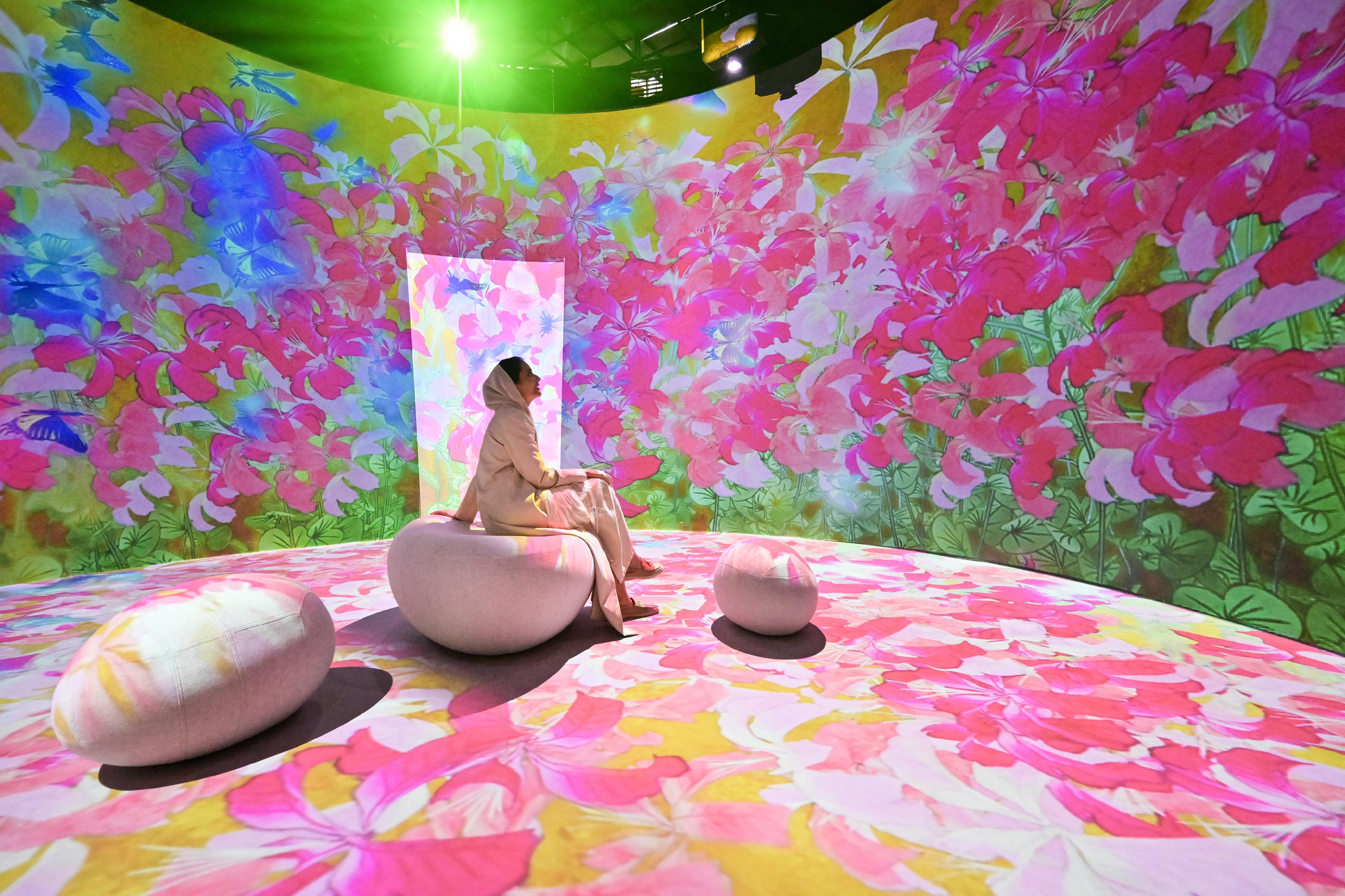 The "Immersive Hong Kong" roving exhibition, which showcases Hong Kong's new attractions, advantages and opportunities with art technology, opened in Dubai, the United Arab Emirates, today (December 20) as part of a promotional campaign organised by the Information Services Department of the Hong Kong Special Administrative Region Government. Photo shows an art projection with the theme of "Diversity and Greenery" at the exhibition.