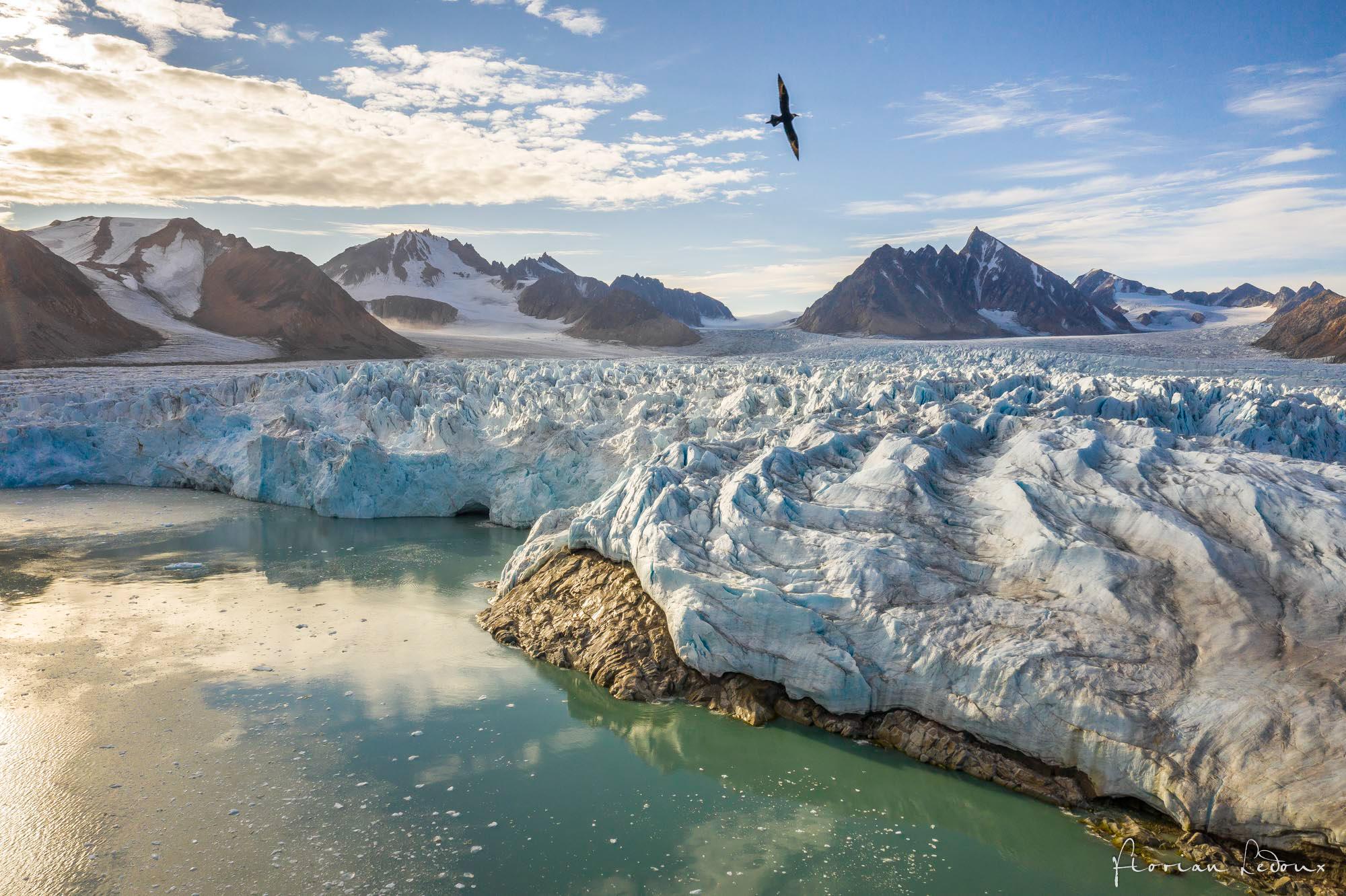 The Hong Kong Space Museum will screen a new 3D dome show, "Arctic 3D: Our Frozen Planet", at its Space Theatre from tomorrow (January 15), leading audiences to explore the Arctic. Photo shows the Arctic's majestic landscape. Though seasonal changes challenge the Arctic's inhabitants, they also infuse this realm with vibrant life. (Source of photo: BBC Earth)