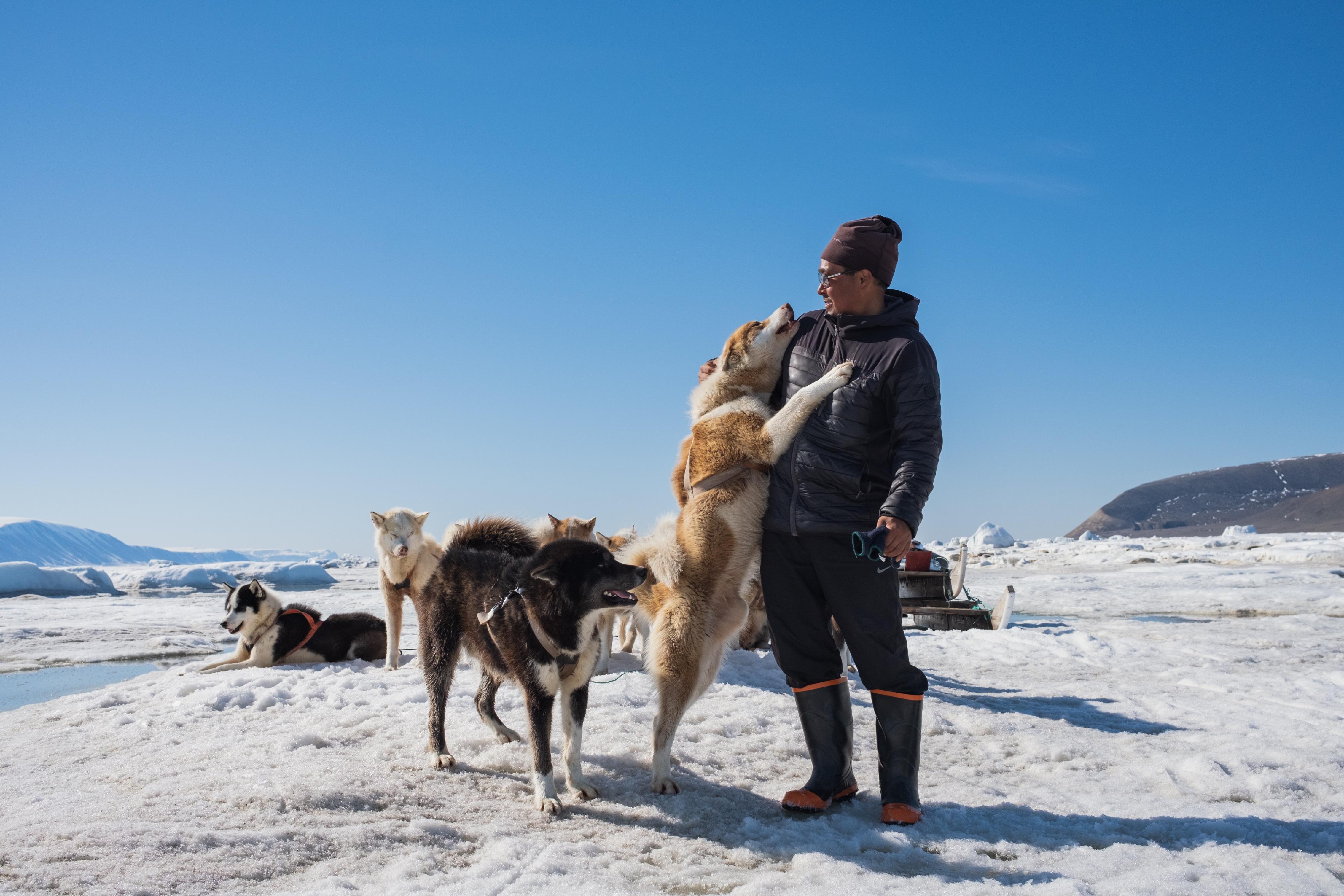 The Hong Kong Space Museum will screen a new 3D dome show, "Arctic 3D: Our Frozen Planet", at its Space Theatre from tomorrow (January 15), leading audiences to explore the Arctic. Photo shows Arctic indigenous Inuit and sled dogs. (Source of photo: BBC Earth)