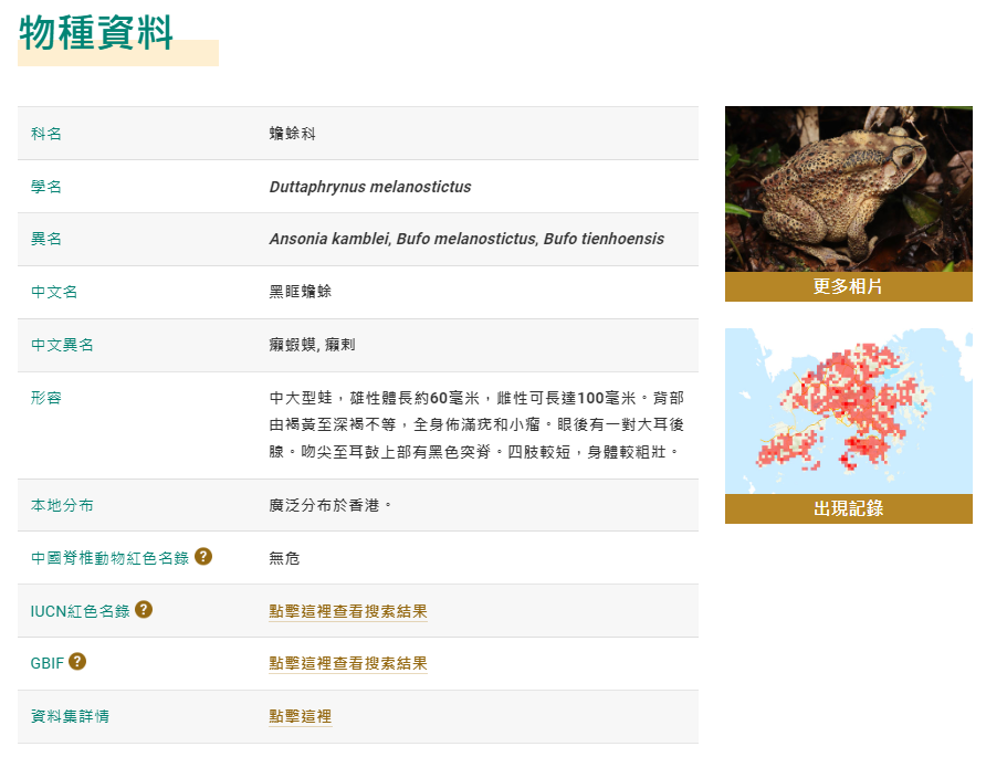 The Agriculture, Fisheries and Conservation Department officially launched the Biodiversity Geographic Information System (BGIS) today (January 17). Photo shows species information, photos and occurrence records in the BGIS.