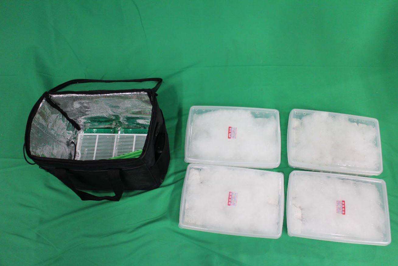 A Thai man who smuggled 72 eggs of an endangered parrot species was convicted at the District Court for violating the Protection of Endangered Species of Animals and Plants Ordinance (Cap. 586) and sentenced to imprisonment for 39 months today (January 17). Photo shows the seized eggs of the endangered parrot species.