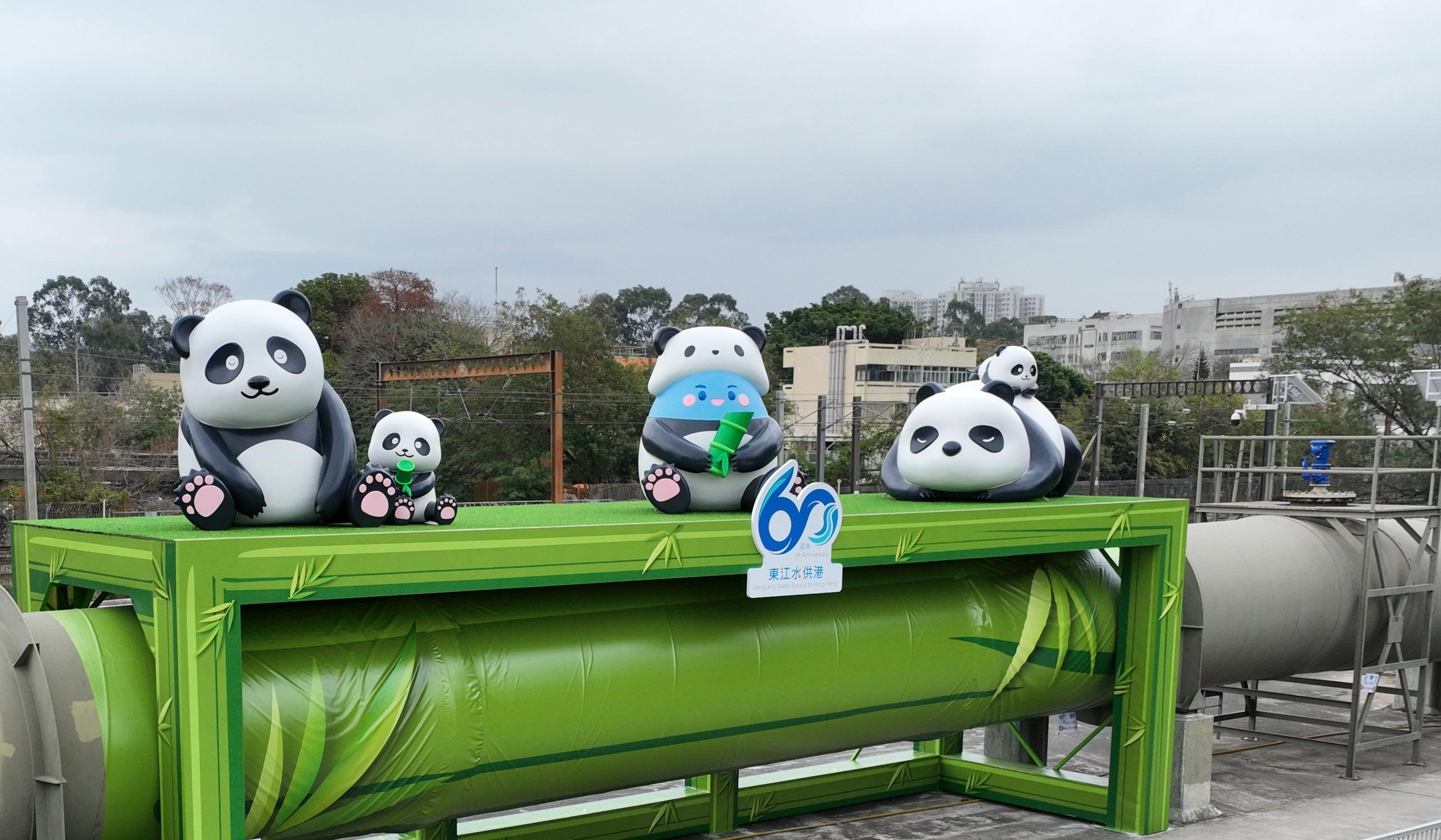 The Water Supplies Department is holding a Photo-taking Challenge on 60th Anniversary of Dongjiang Water Supply to Hong Kong from tomorrow (January 28) to May 18 with an aim to encourage members of the public to visit various related waterworks facilities and take photos at them. Photo shows a section of the Sheung Shui Dongjiang water main, one of the photo-taking spots, decorated as a bamboo with cute pandas and a WSD mascot named Water Save Dave dressed in a panda costume sitting on it.