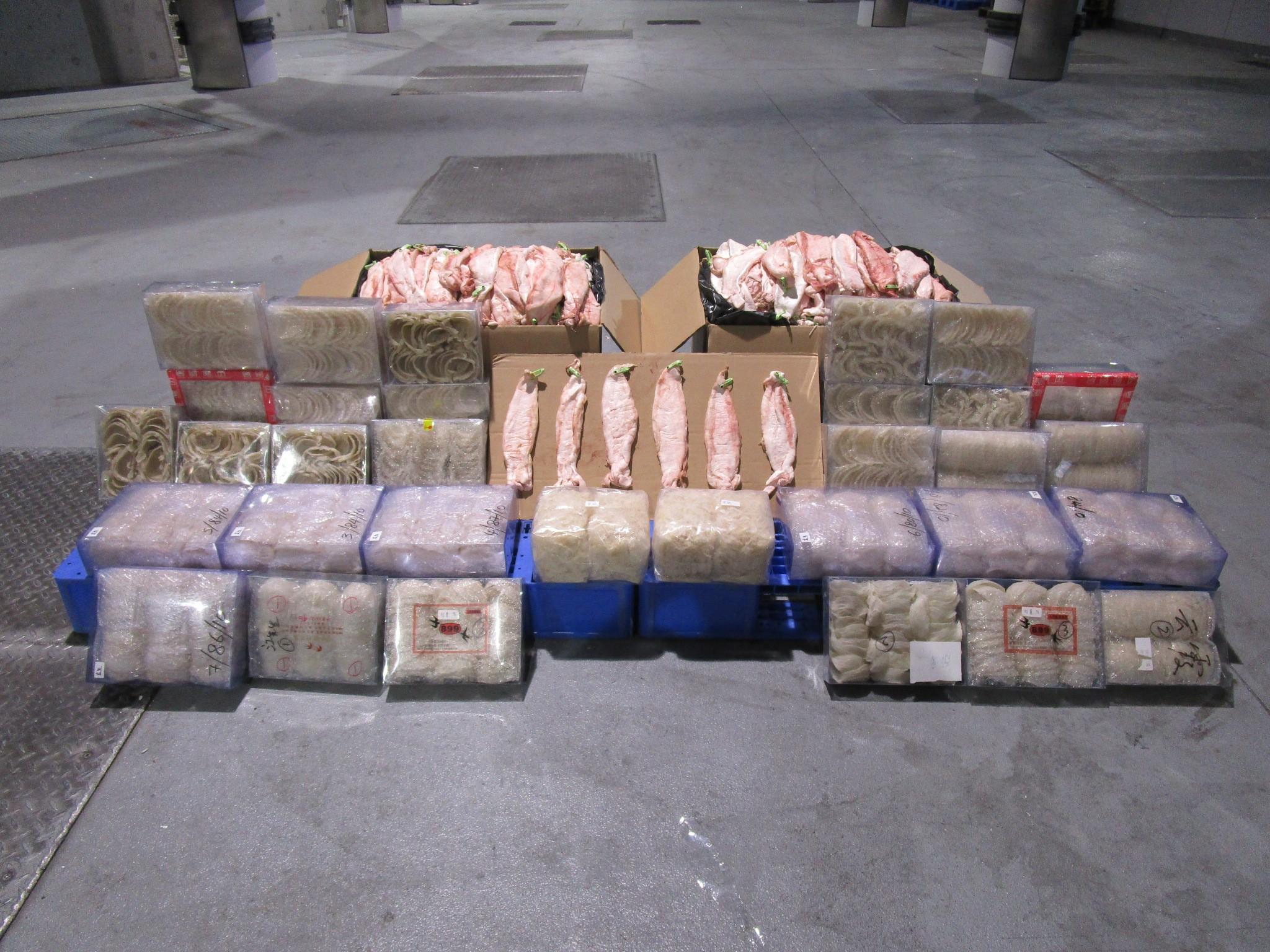 Hong Kong Customs on February 20 detected a suspected smuggling case involving an outgoing cross-boundary private car at the Hong Kong-Zhuhai-Macao Bridge Hong Kong Port and seized about 24 kilograms of suspected smuggled bird's nests and about 43kg of suspected scheduled fish maw, with a total estimated market value of about $5.2 million. Photo shows the suspected smuggled food ingredients seized.