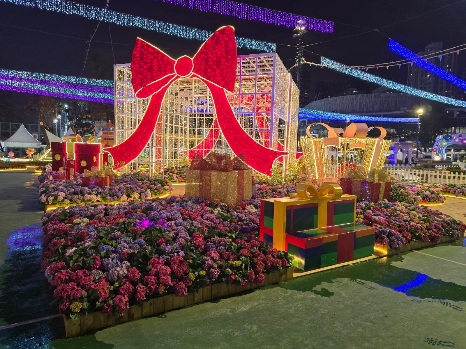 The Hong Kong Flower Show 2025 will be held at Victoria Park from tomorrow (March 14) until March 23, featuring cosmos as the theme flower and "Ablaze with Glory" as the main theme. Photo shows floral display "A Gifts of Nature". As night falls, the display is illuminated with soft lights, creating a romantic ambiance. 

