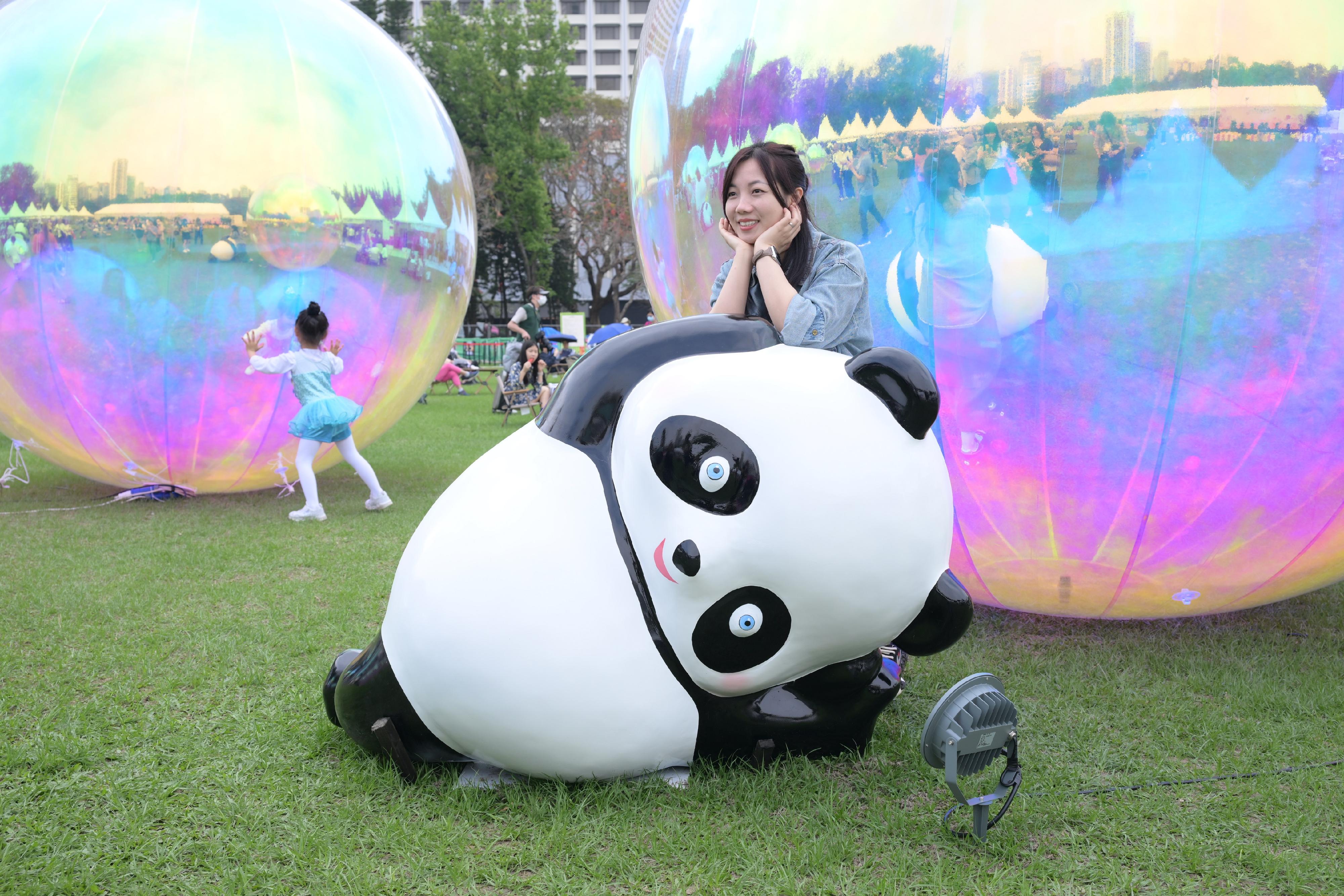 The annual Hong Kong Flower Show extravaganza opened at Victoria Park today (March 14) with some 400 000 flowers on display, including about 40 000 cosmos, this year's theme flower, and "Ablaze with Glory" as the main theme. Photo shows the panda-themed photo-taking spots at the Central Lawn.